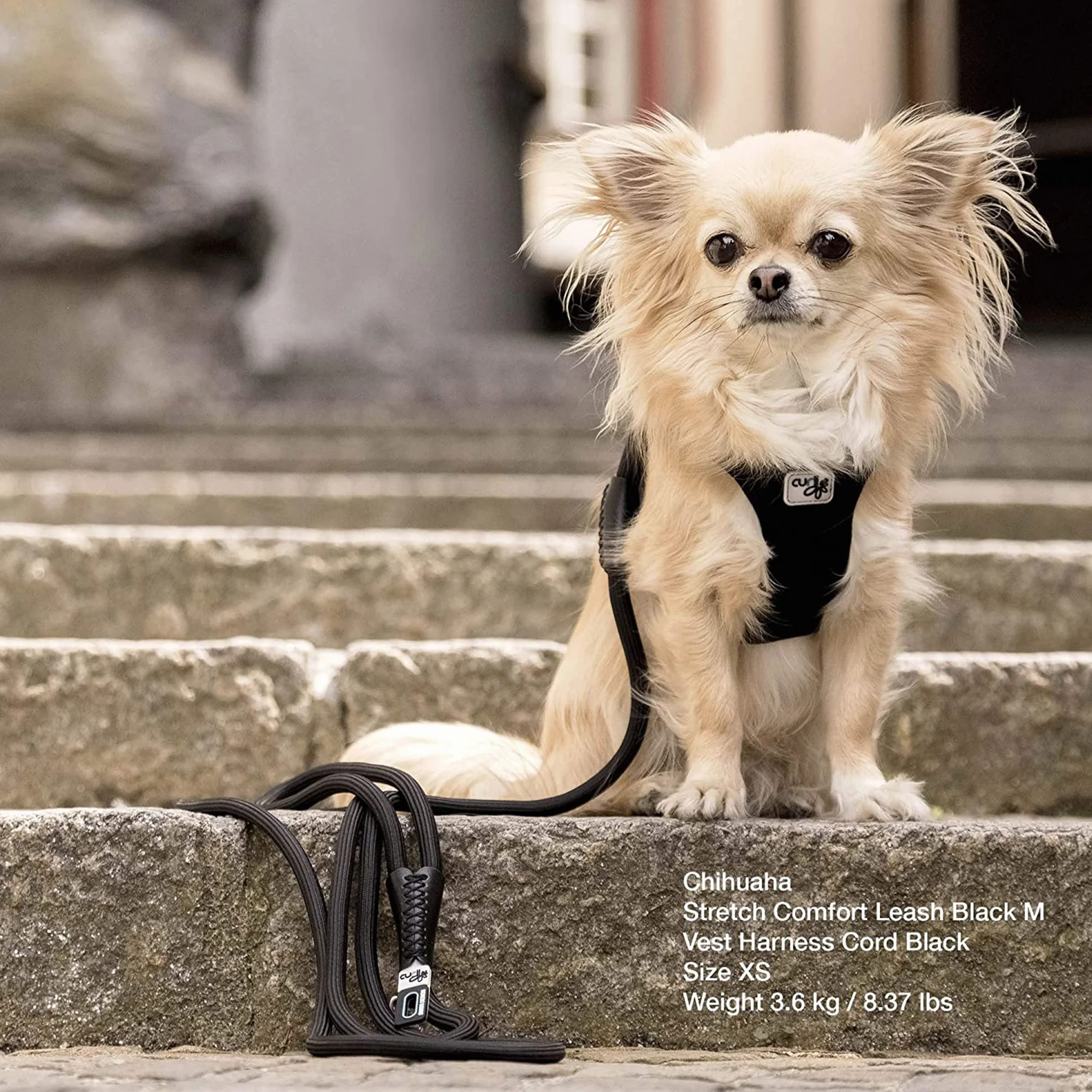Stretch Comfort Leash Lime M