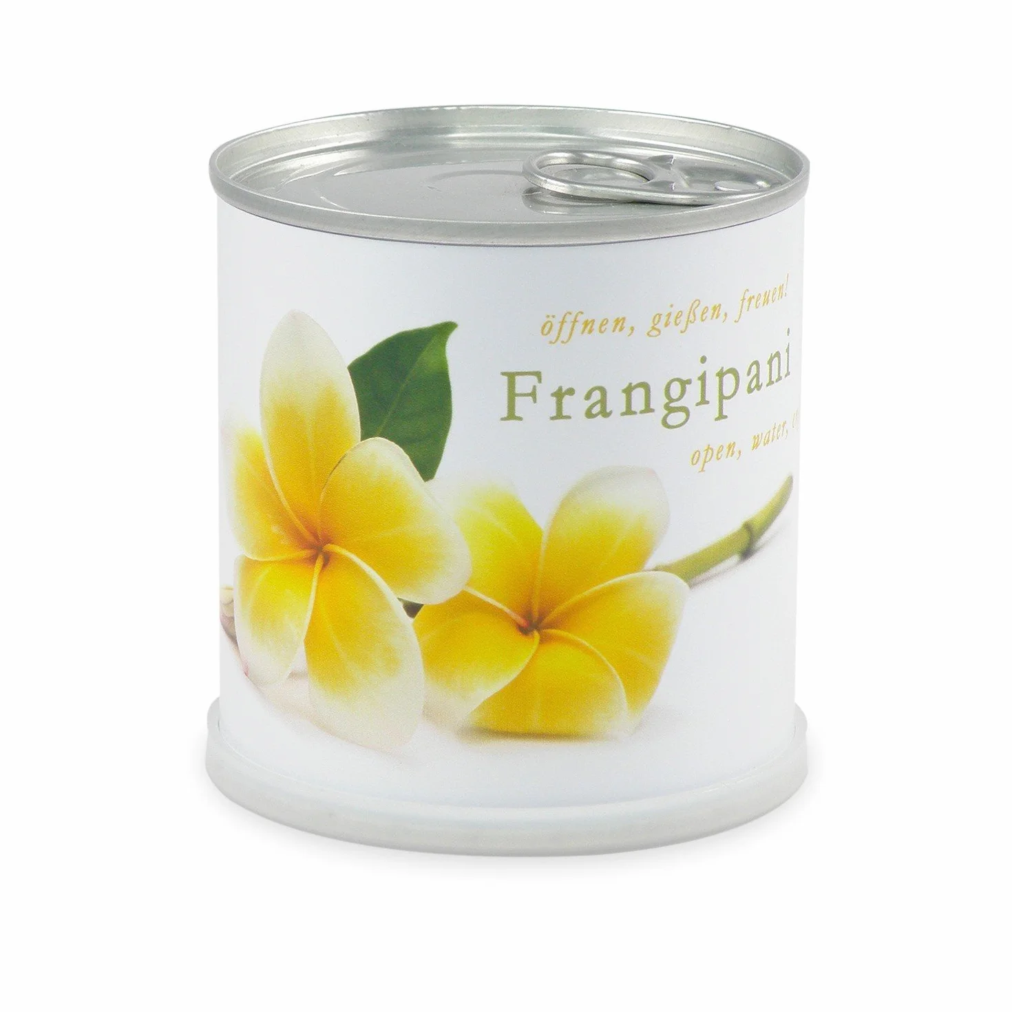 Frangipani | zestaw do uprawy jako specjalny prezent | otwarcie podlewania radości, motyw "Dankeschön", drzewo świątynne, joga, drzewo do jogi, żółte