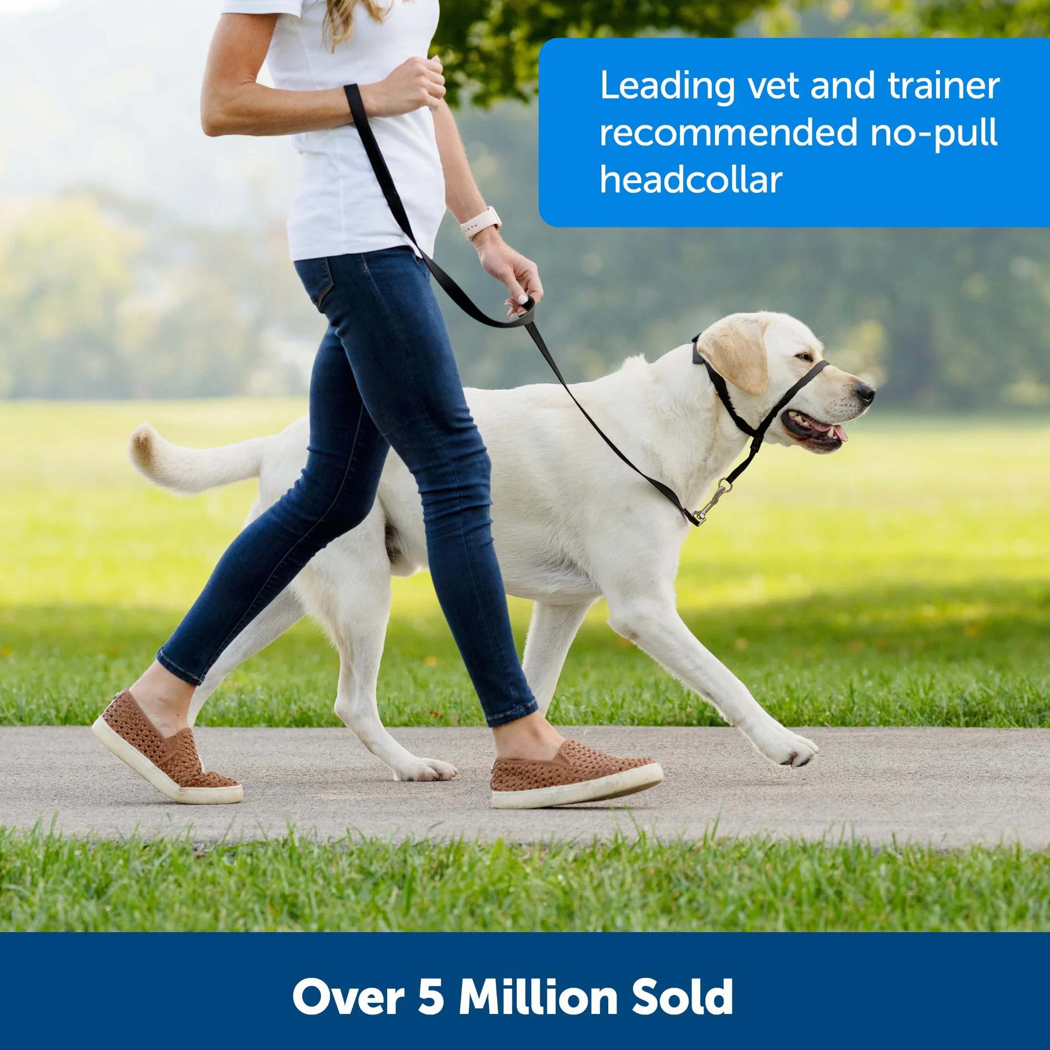 PetSafe Obroża Easy Walk