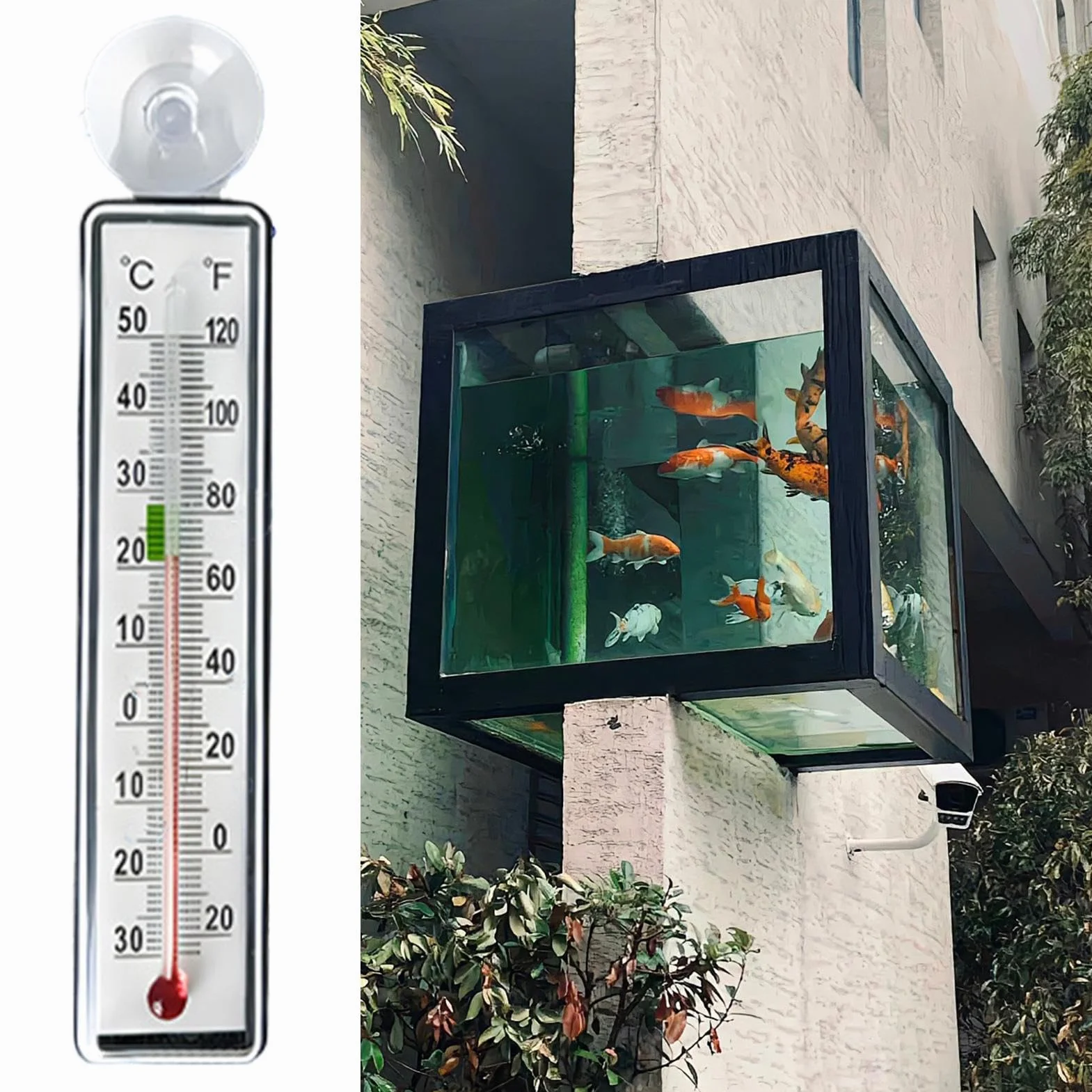 Termometr do Akwarium - Monitor Temperatury w Terrarium - Antykolizyjny Termometr Z Przyssawką Dla Terrarium Gadów Akwarium Gotowania Warzenia I Pieczenia