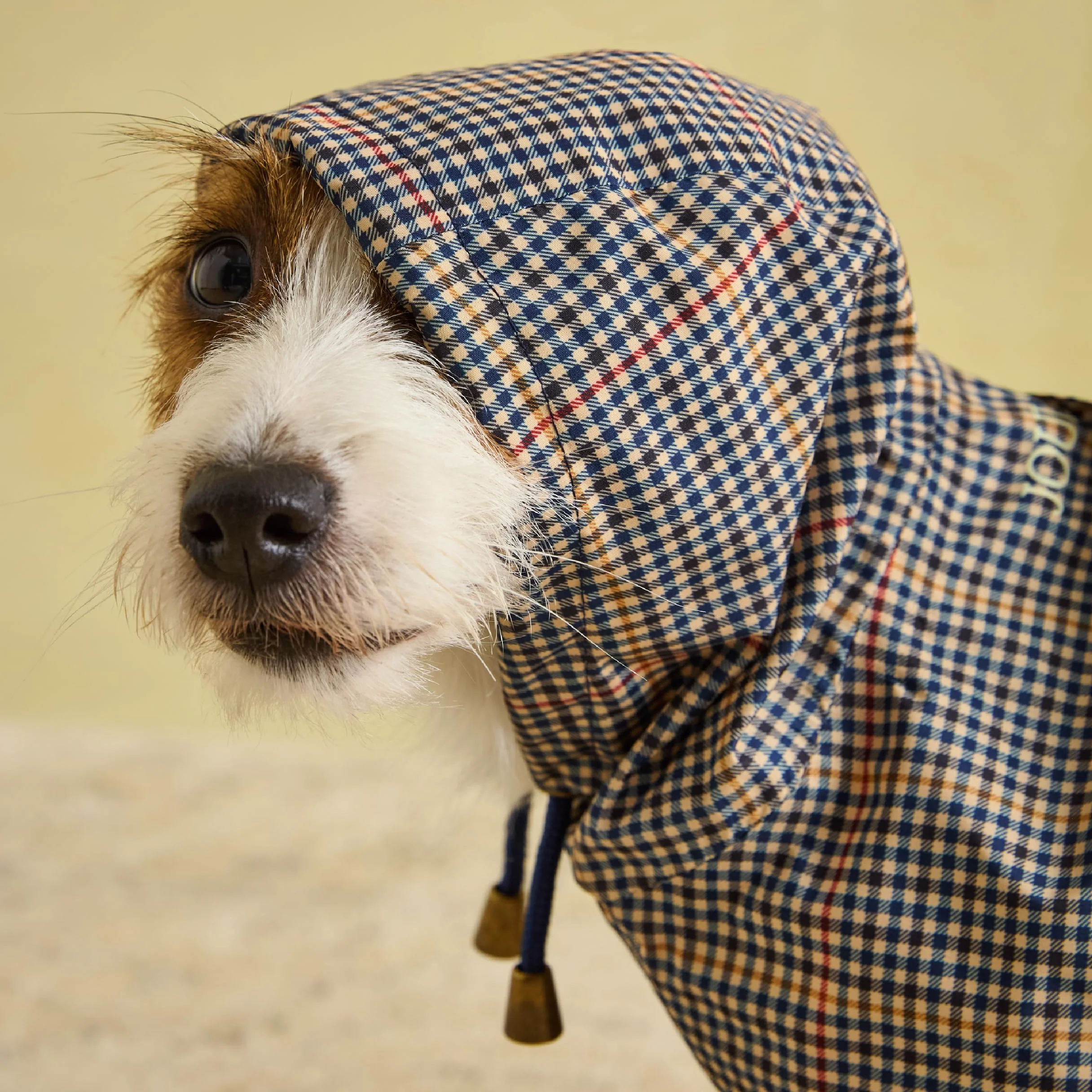 Rosewood Joules Henson Check Packaway Kurtka dla Psów Wodoodporna Mała Lekka Pranie