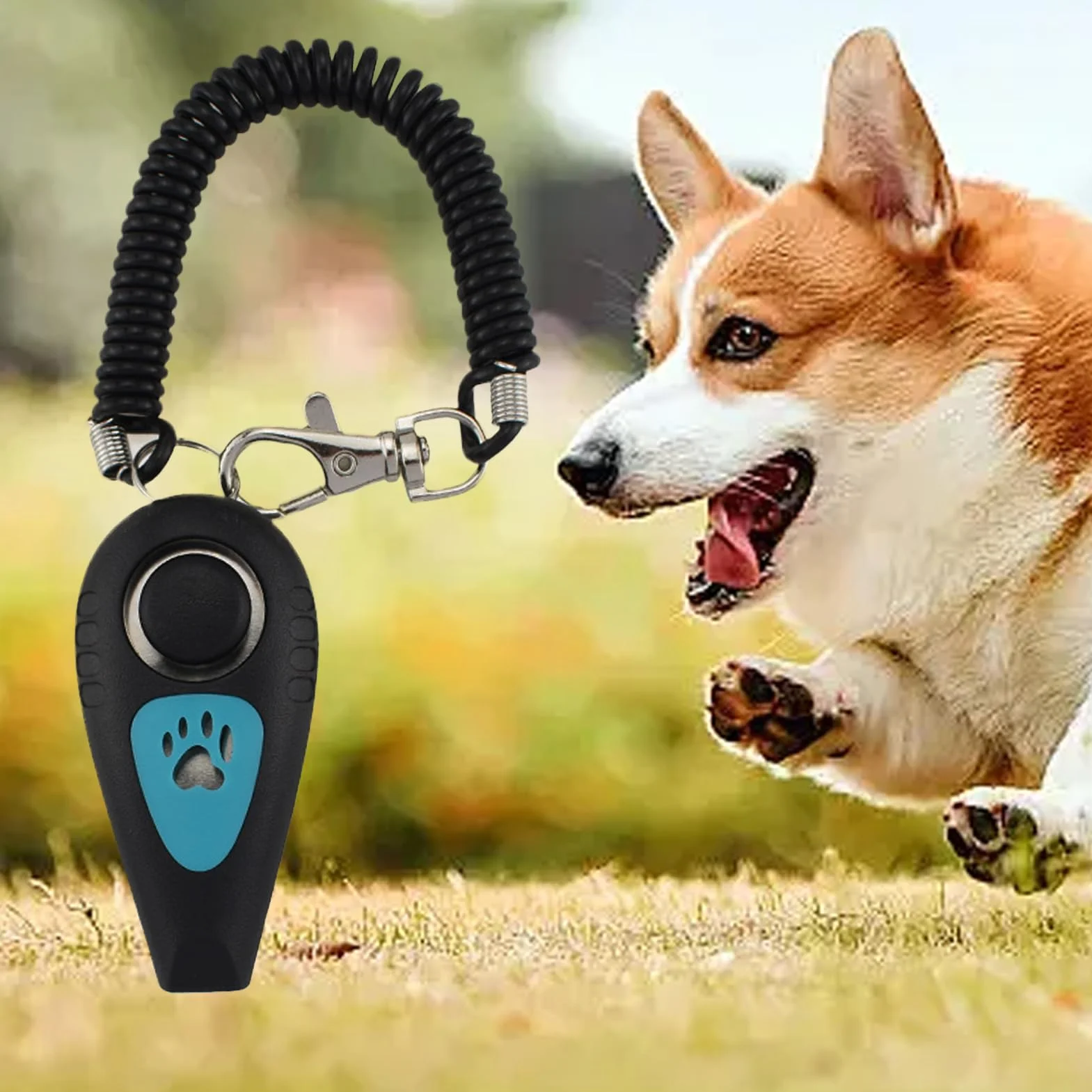 Clicker 2 w 1 dla zwierz?t – Cichy akcesorium behawioralne z paskiem nadgarstek i gwizdkiem