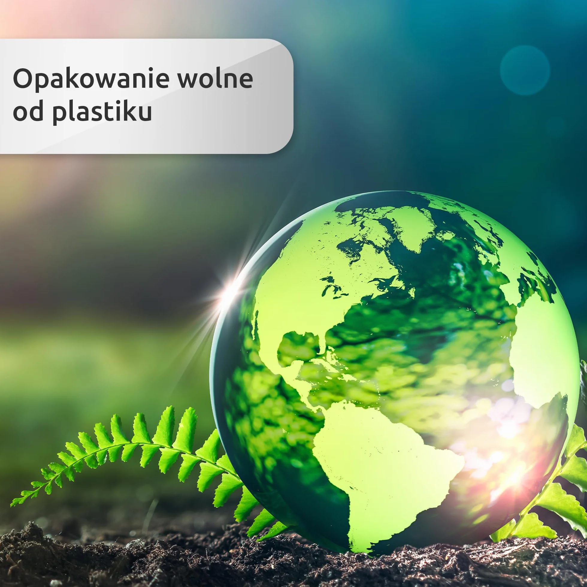 ECENCE Nożyczki do pazurów dla psa i kota - cążki do pazurów - profesjonalna jakość - Pilnik do paznokci - Pielęgnacja pazurów - Obcinacz do pazurów dla psów średniej wielkości