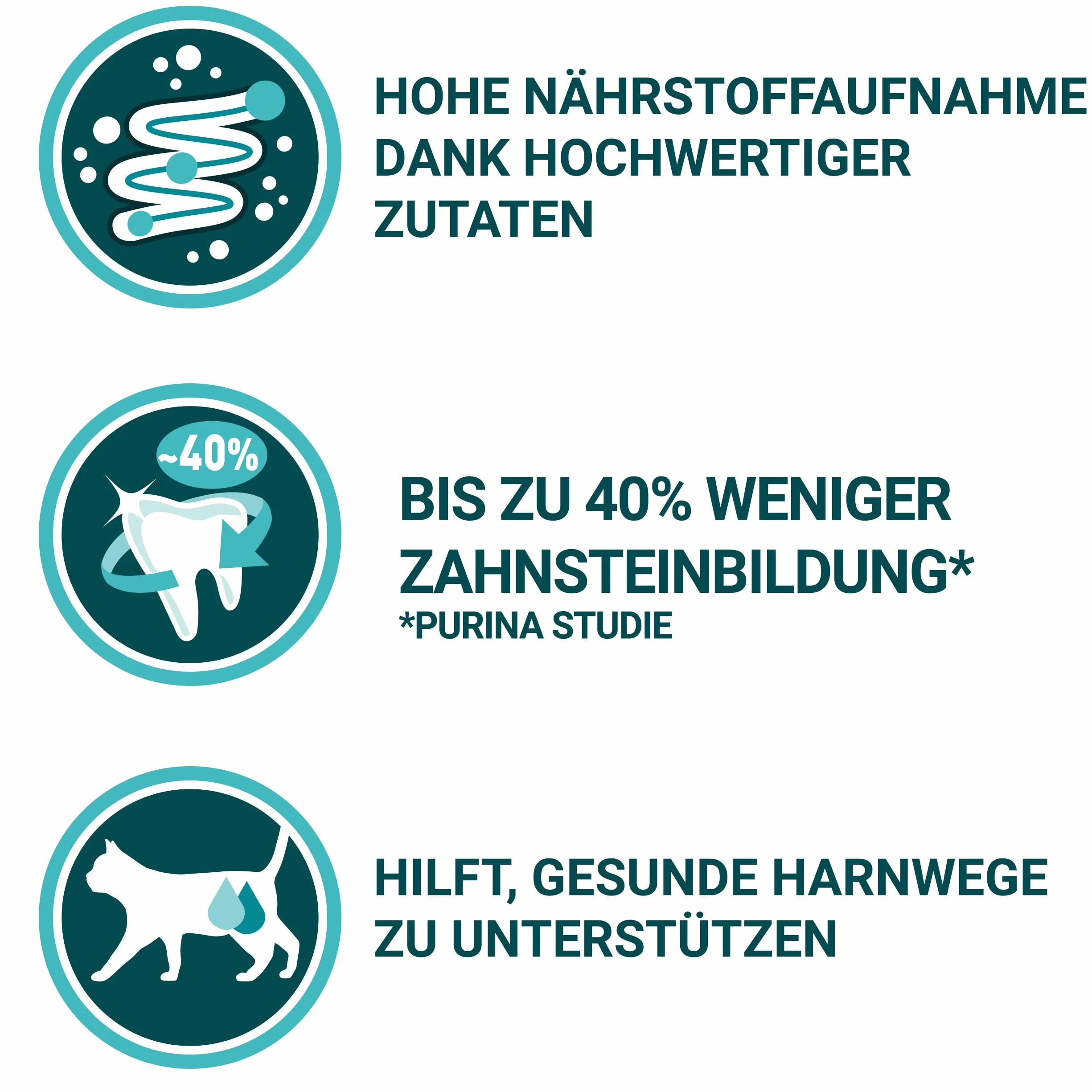 PURINA ONE Karma sucha dla dorosłych kotów Bogata w Łososia 9.75 kg
