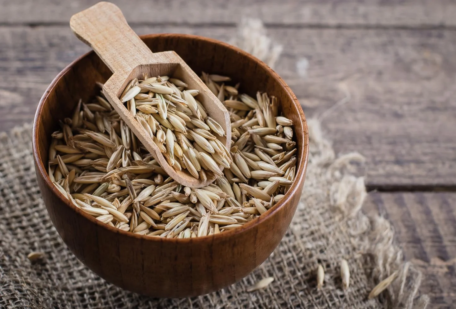 Owies paszowy 25 kg dla koni, ptaków i gołębi – naturalne zboże