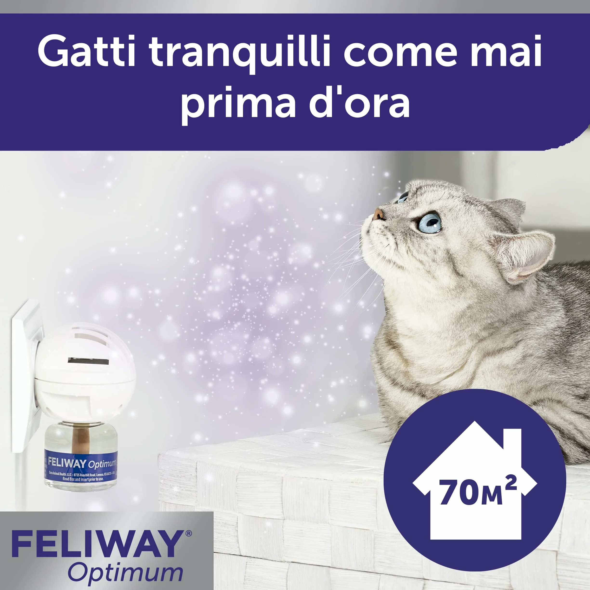 FELIWAY Optimum zestaw uspokajający dyfuzor feromonów dla kotów 48 ml 30 dni