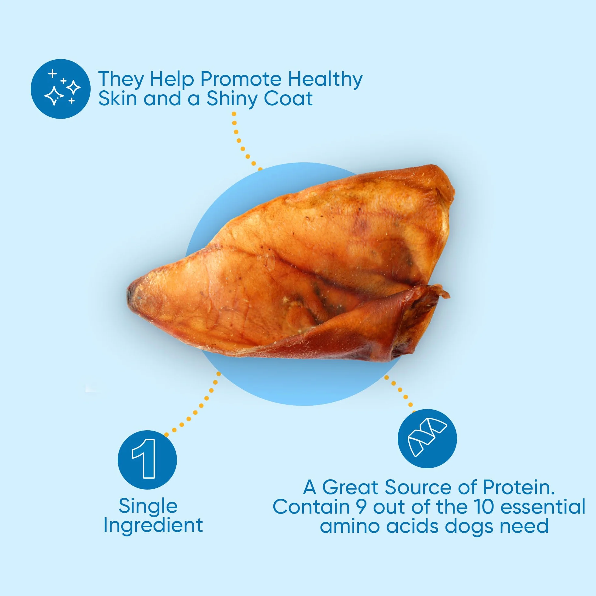Whole Pig Ear Dog Chews (100 sztuk)