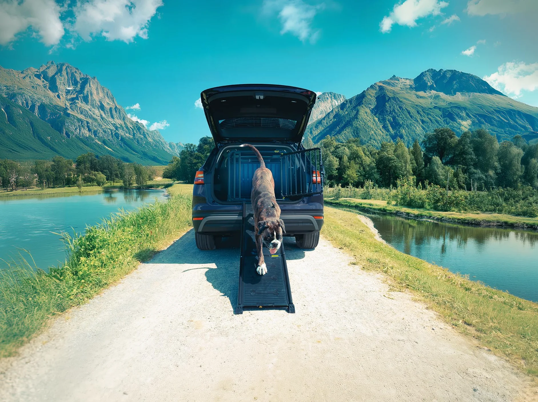 4pets Easy-Steps pomoc przy wchodzeniu
