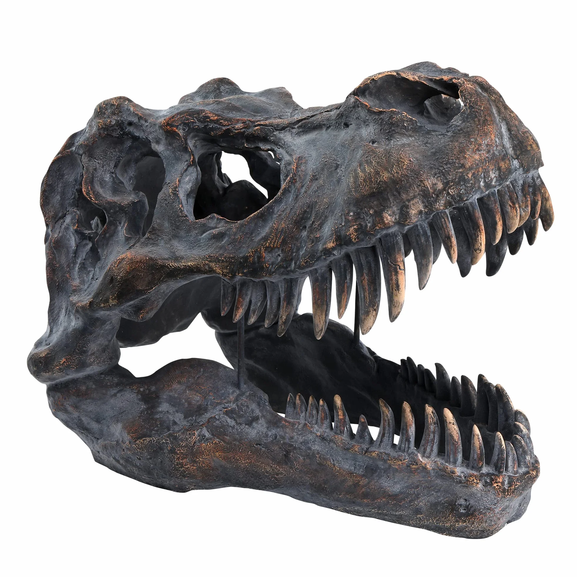 Gigantyczny tyranozaur rex czaszka dinozaura wisząca figurka skamieniałości T-rex czaszka naścienna głowa dinozaura trofeum sztuczna wypychanie figurka ścienna dekoracja ścienna rzeźba 50 cm