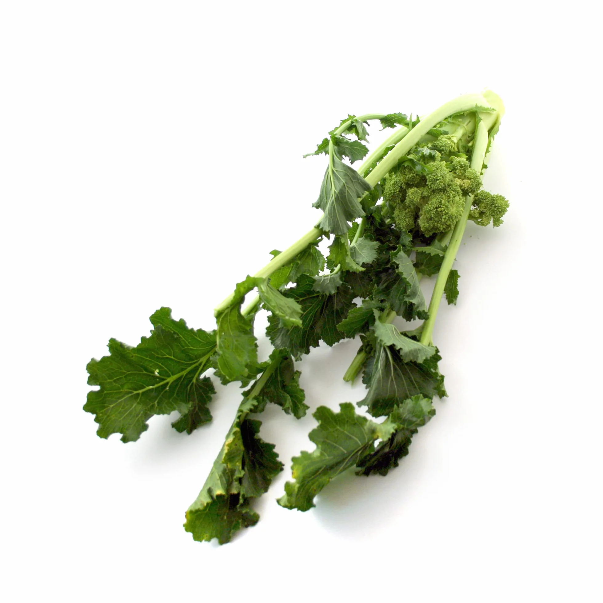 Kapusta łodygowa / Cime di Rapa (Brassica rapa) - ok. 500 nasion