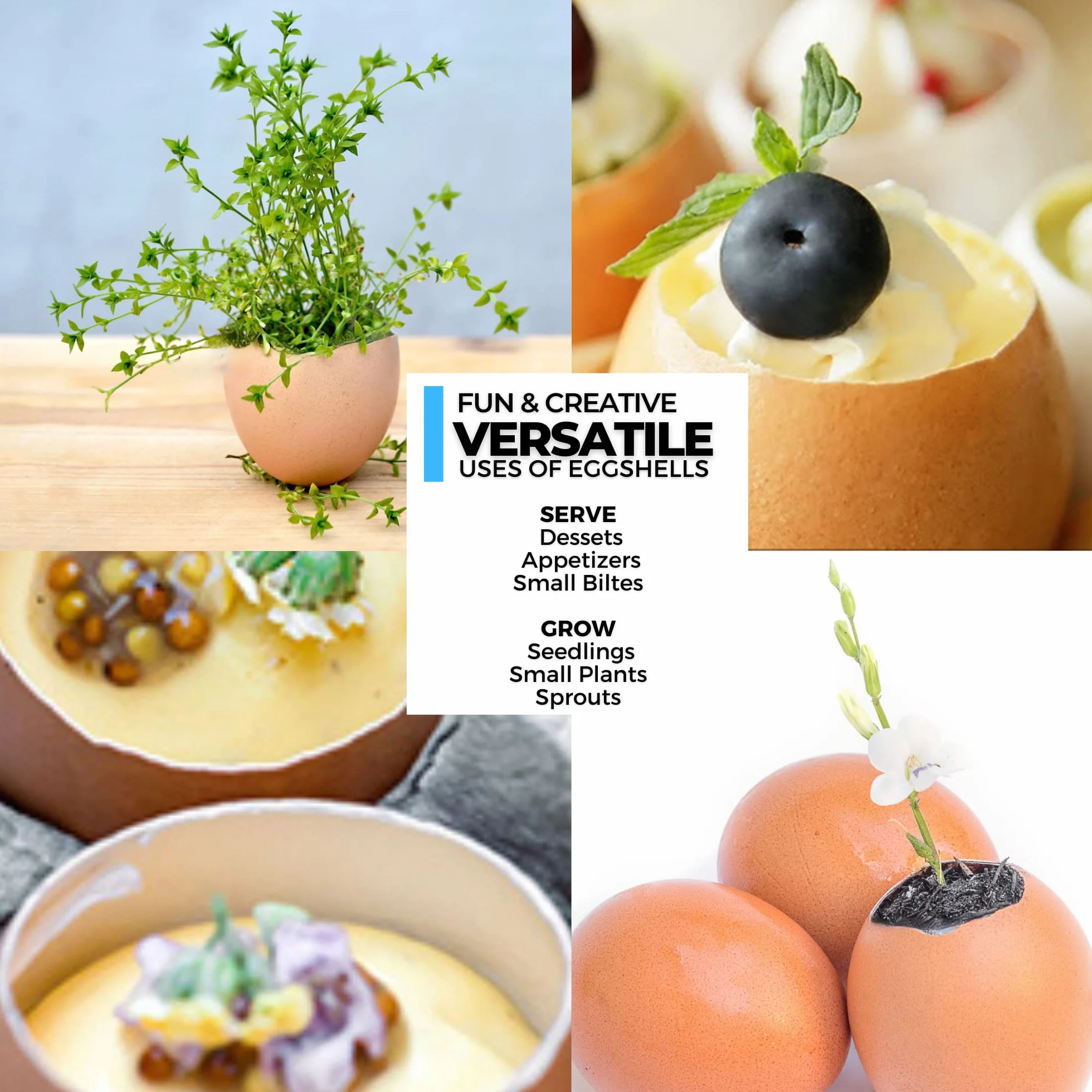 Impeccable ICO013 Culinary Objects Obieraczka do Jajek ze Stali Nierdzewnej, Srebrny