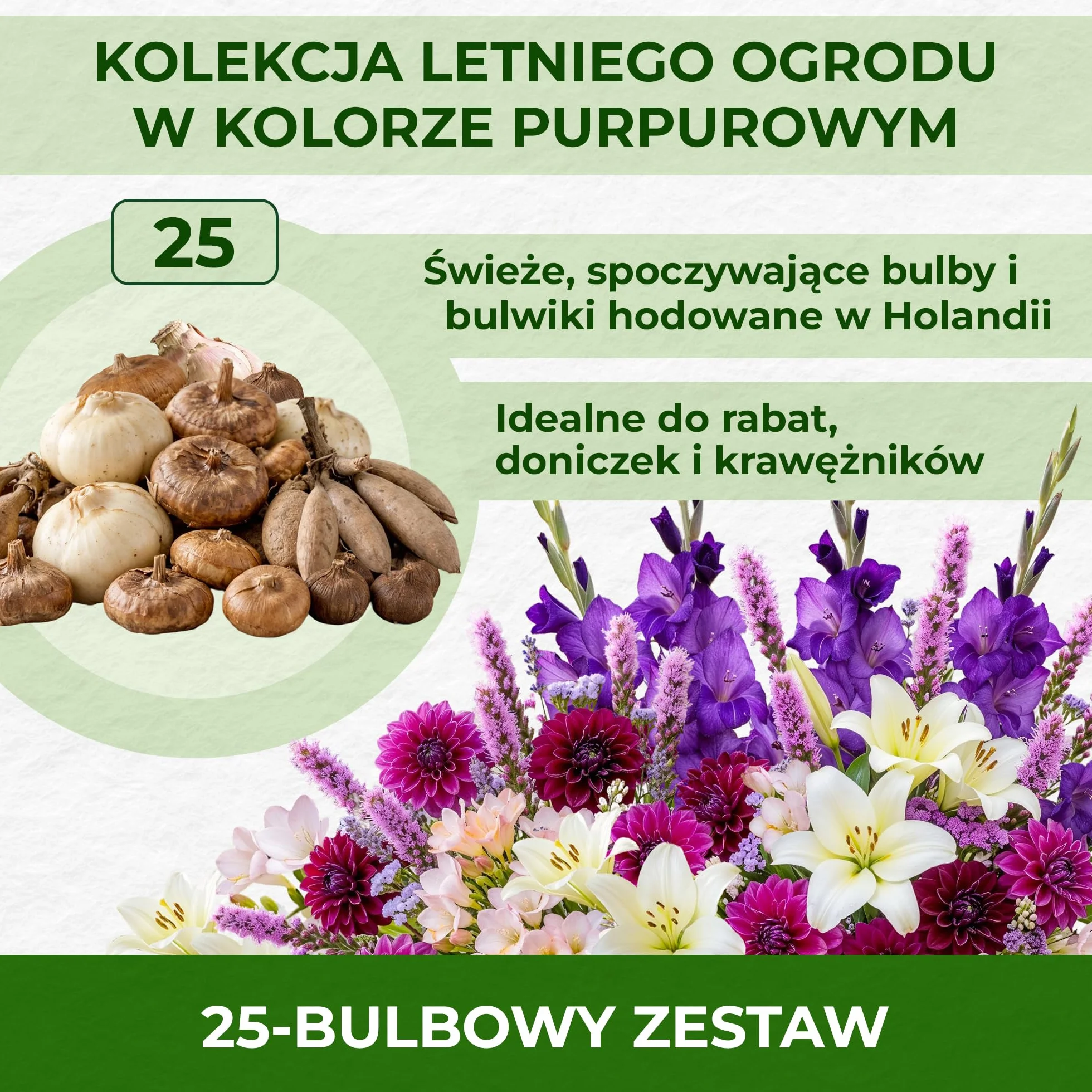 Letnie cebulki kwiatowe Purple Garden Collection - 25 bulw - mieczyki/dalie/lilie/freezje/liatry - odporna wieloletnia mieszanka cebulek - holenderska jakość - do ogrodu, doniczek