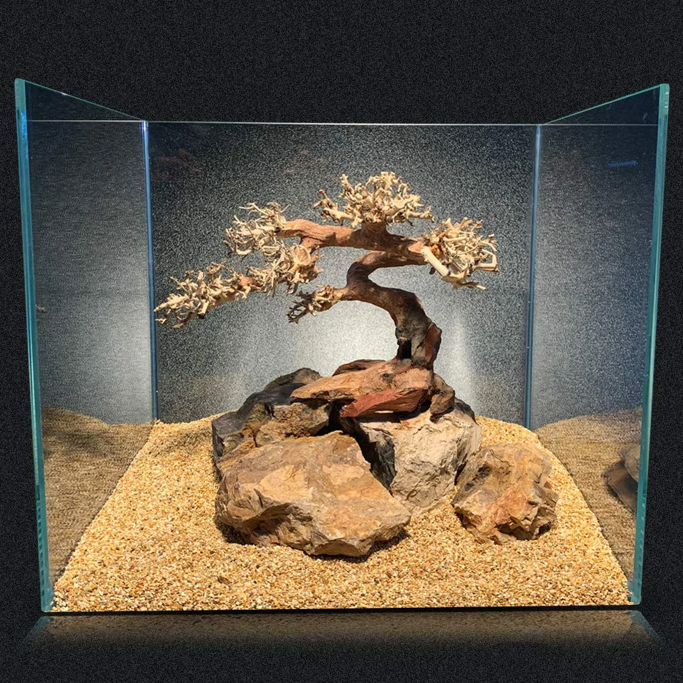 Amtra Oriental Wind 5 drewno ręcznie robione do akwarium 25 x 10 x 18 cm