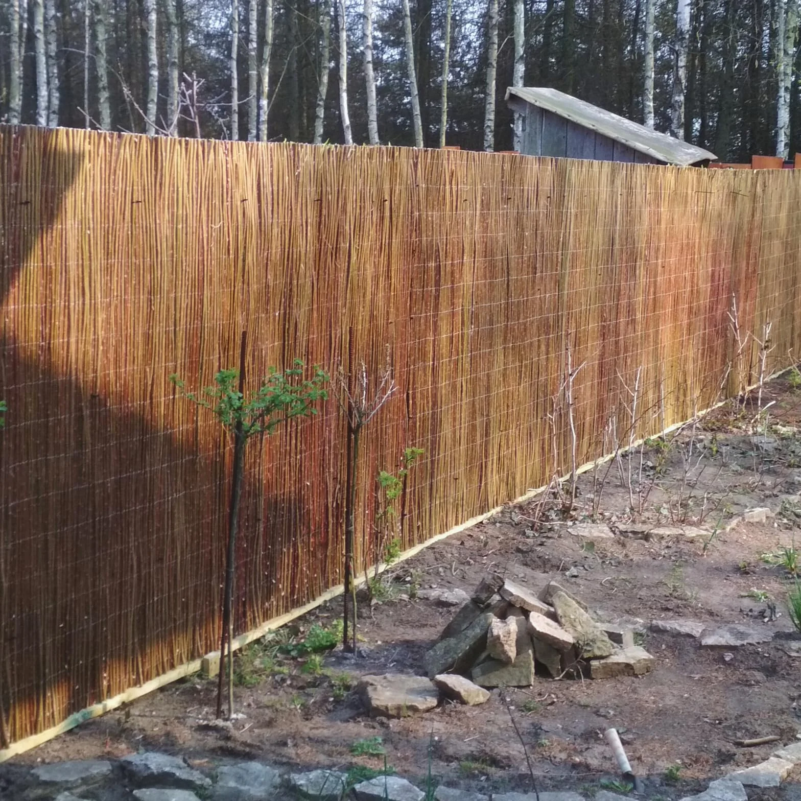 Mata Wiklinowa 90 x 300 cm Gęsta Osłona na Balkon Naturalny Materiał Trwała i Estetyczna Prywatność Osłona Przeciwsłoneczna Ekran Prywatności
