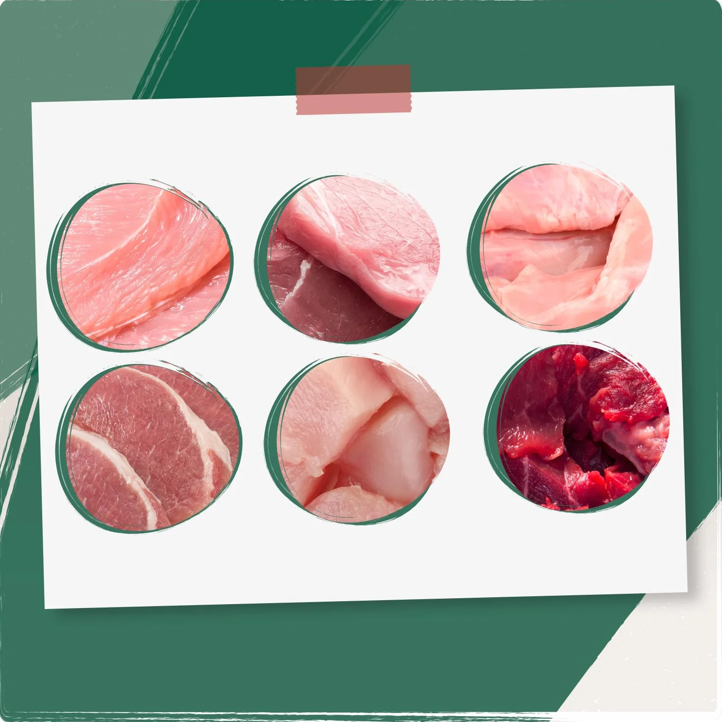 Venandi Animal Mokra karma premium dla kotów pakiet próbny III 6 x 200 g monoproteina bez zbóż