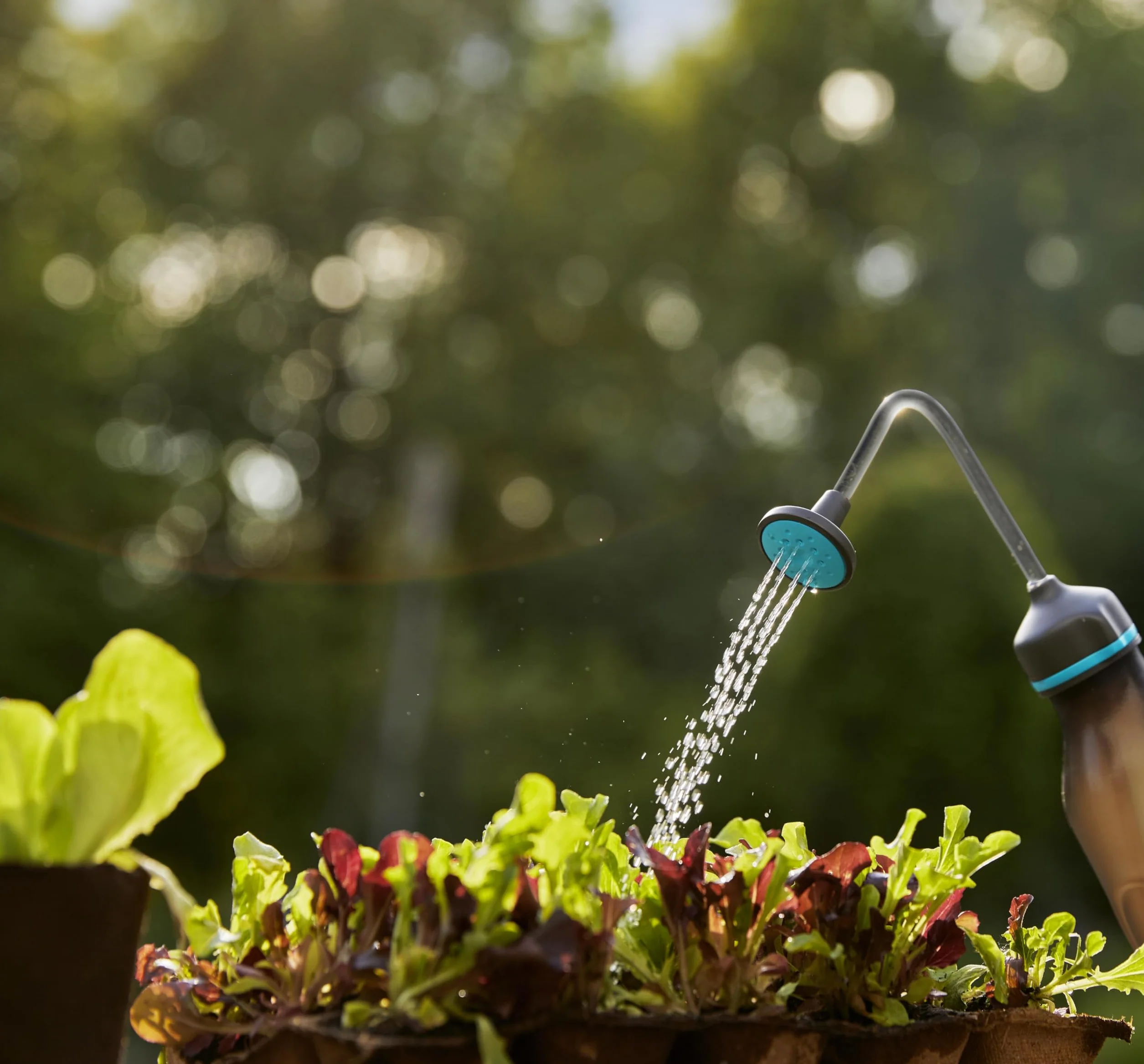 Gardena opryskiwacz miękki 0,45 l: Delikatne podlewanie sadzonek, funkcja 2 w 1 z głowicą zraszającą lub dyszą drobnostrumieniową, pojemność 450 ml (11102-20)