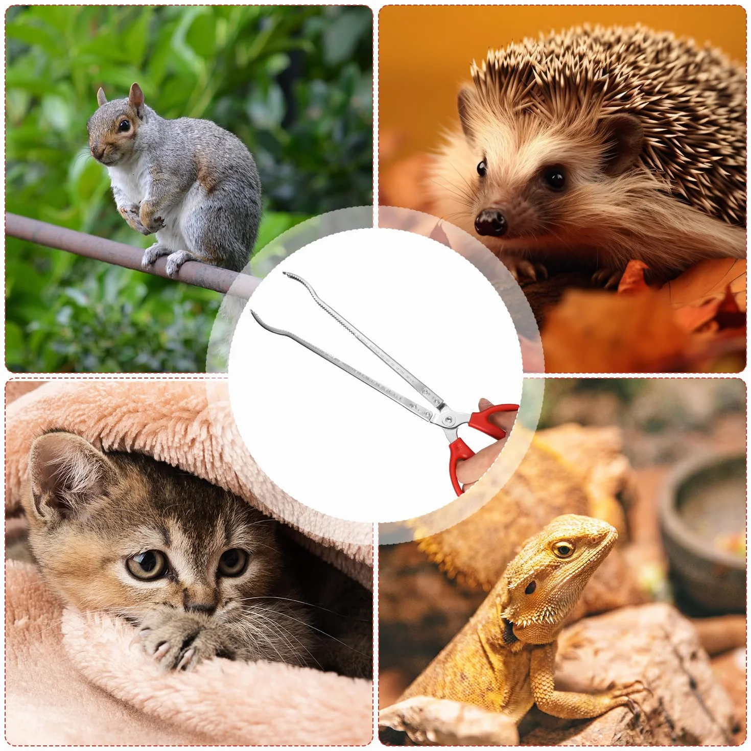 Szczypce do Karmienia Gadów 36,5cm Antypoślizgowe Długie Pęsety do Terrarium