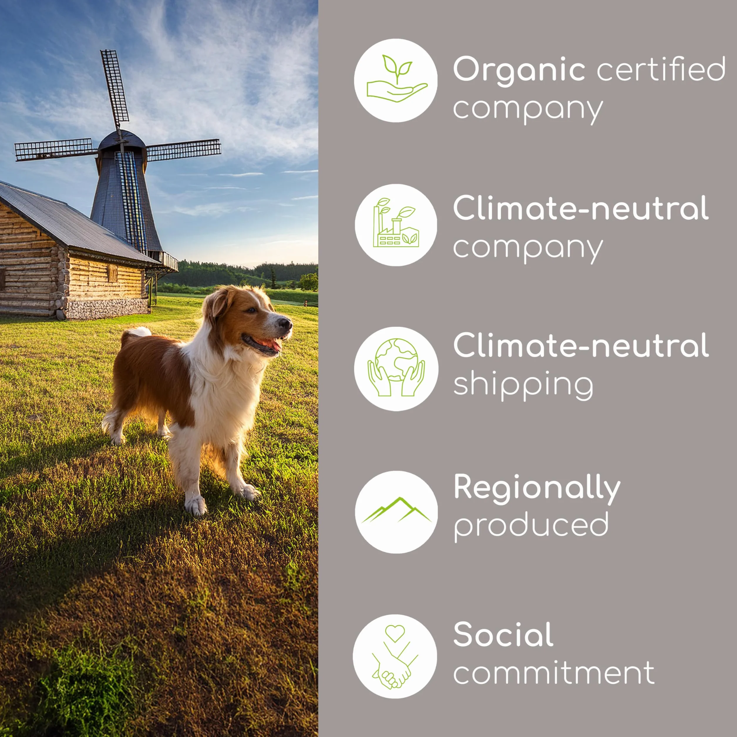 Schwarzkümmelöl für Hunde 50ml tłoczone na zimno ekologiczne Nigella Sativa