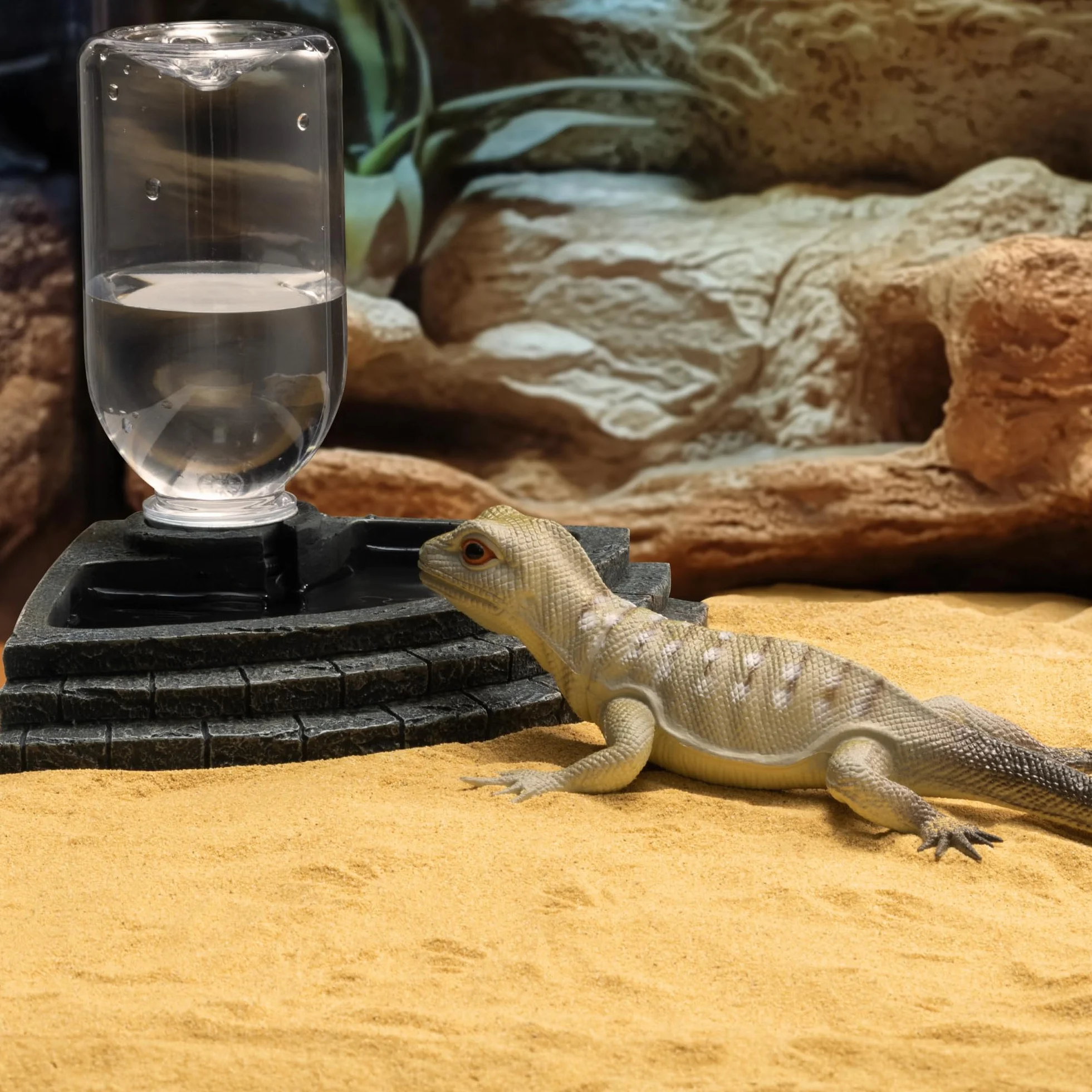 Navaris Miska na wodę dla gadów 400 ml, dozownik do terrarium, czarny