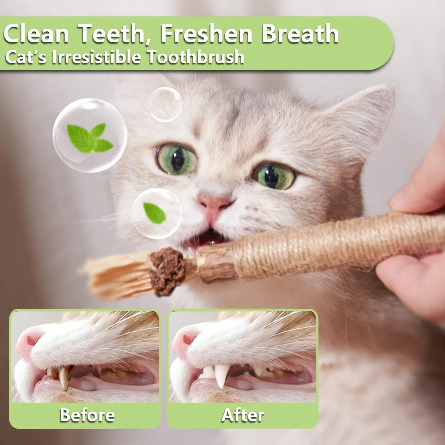 Matatabi patyczki do żucia dla kotów naturalne do pielęgnacji zębów 6+15 sztuk