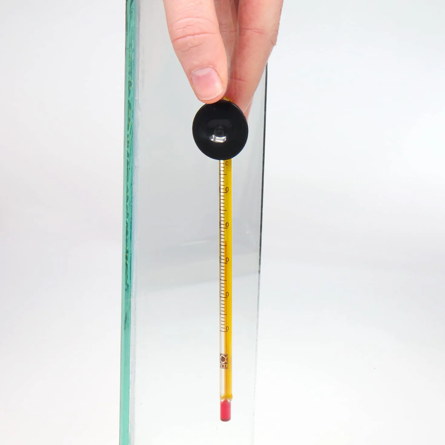 JBL Aquarium Thermometer Premium 6140700, precyzyjny termometr, cienki szklany uchwyt, uchwyt ssący w zestawie
