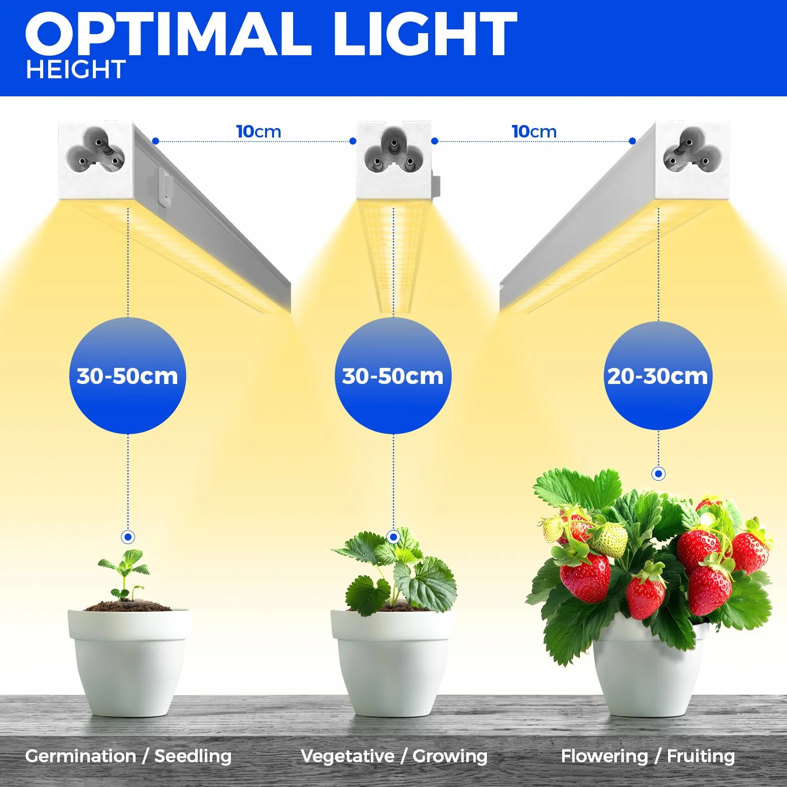 Barrina T5 LED Lampa do Roślin, 29cm, Żółte Pełne Spektrum Światła, 30W (6 x 5W), 1FT Lampy Roślinne z Włącznikiem, Łączone, Do Szklarni, Zestaw 6 szt
