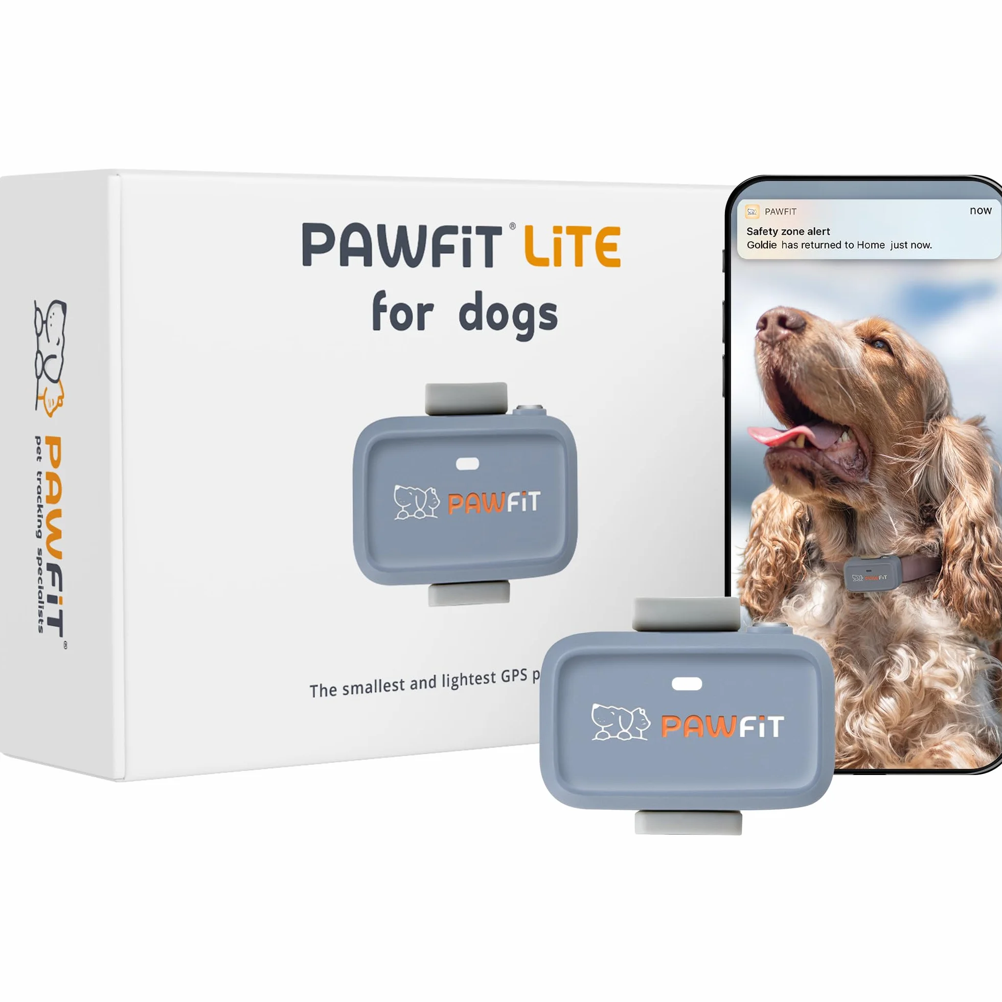 Pawfit Lite for Dogs 4g lokalizator GPS | śledzenie w czasie rzeczywistym | monitorowanie aktywności | historia lokalizacji | nieograniczony zasięg | obroża bezpieczeństwa w zestawie | liliowy szary