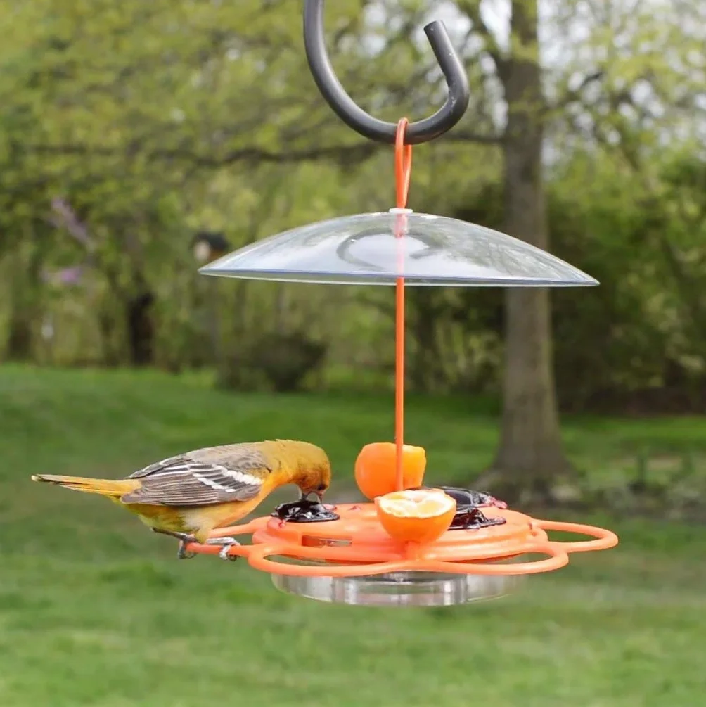 Nature's Way OFP1 All-in-One Oriole Buffet karmnik dla ptaków, pomarańczowy