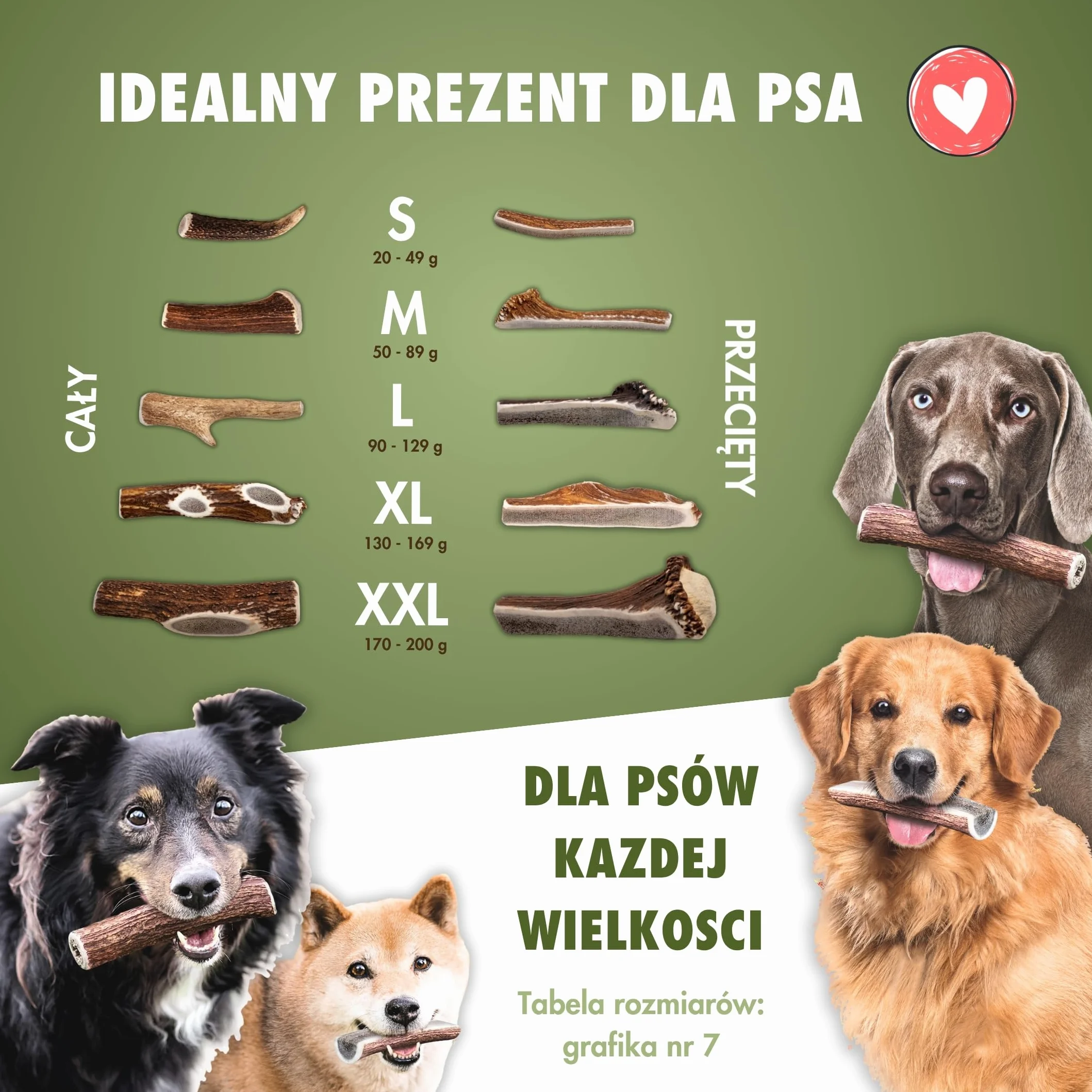FOURLEGS® Przysmaki dla Psa, Poroże Jelenia 100% Naturalny Gryzak - Rozmiar M