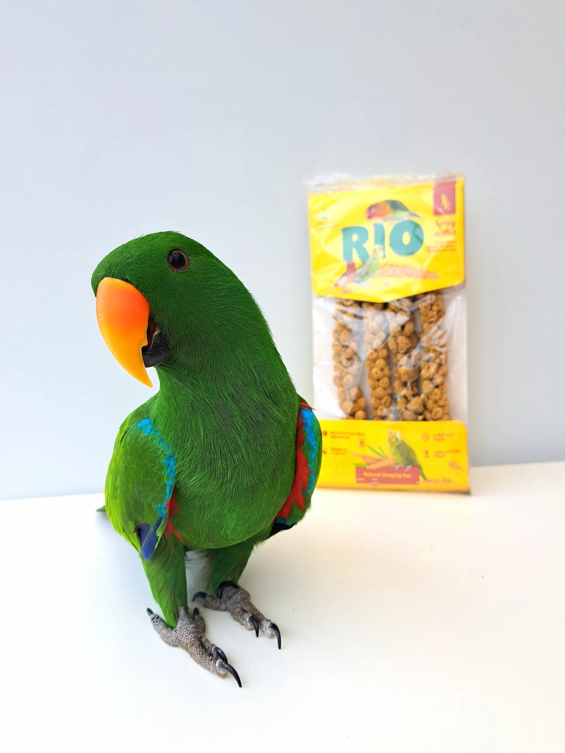 RIO Proso kolbowe Przysmaki naturalne dla ptaków 100 g
