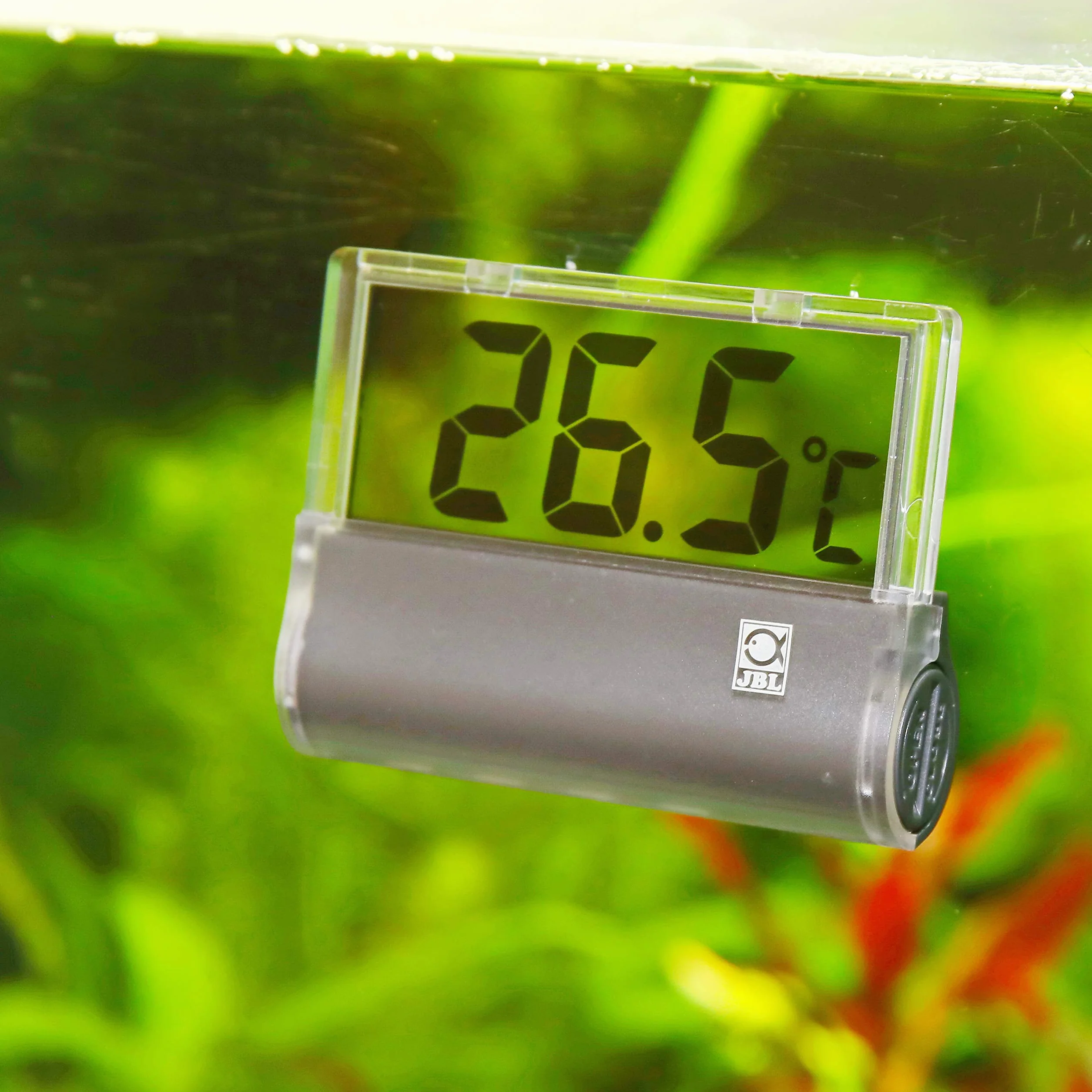 JBL 6122000 DigiScan termometr do akwarium, szary, 27 g (1 opakowanie)