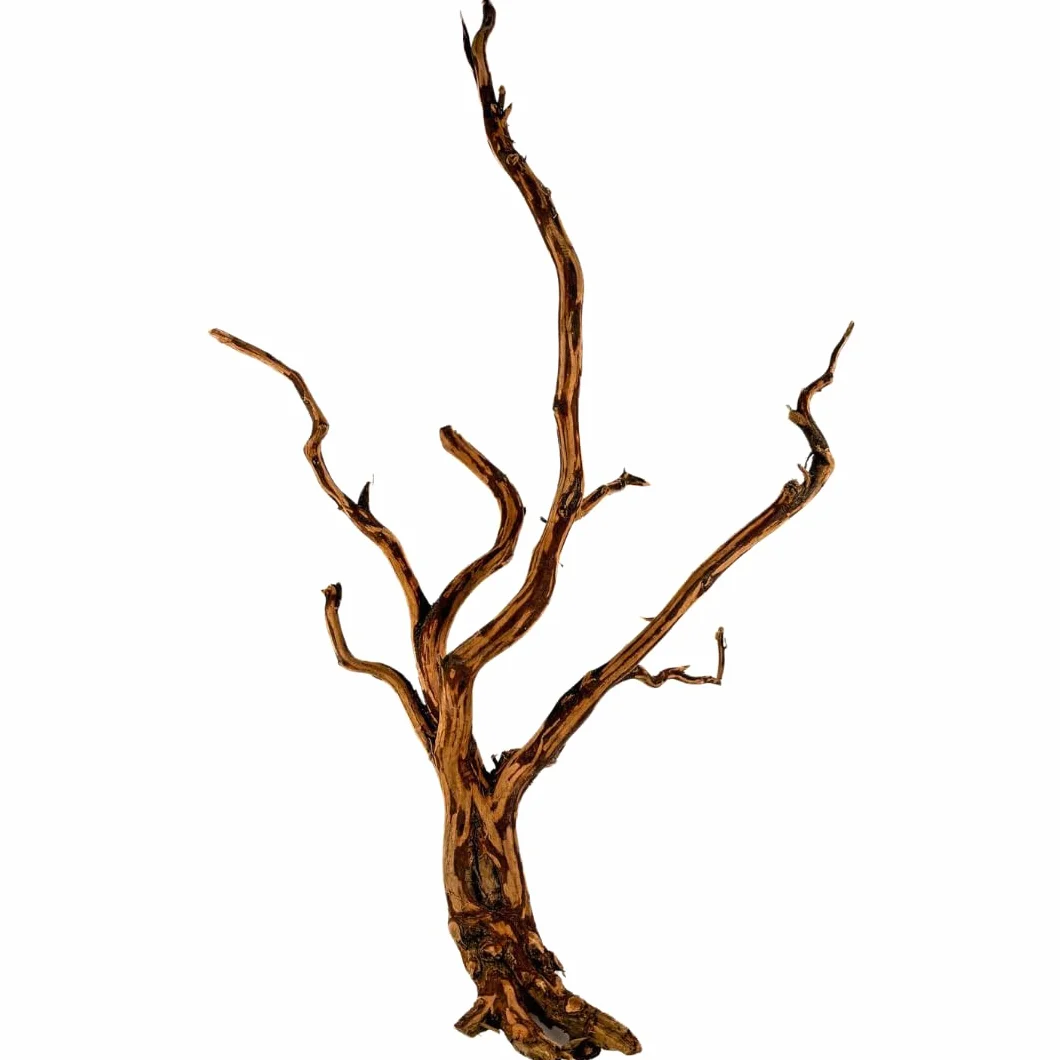King Wood Drewno Red Pająk Dekoracyjny korzeń do akwarium S 20-30 cm