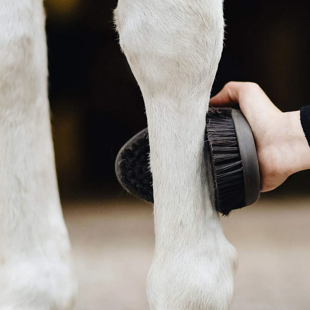 Animalon CareFlex szczotka pielęgnacyjna, elastyczna i ergonomiczna szczotka dla koni z zapięciem na rzep, do każdego boksu pielęgnacyjnego, akcesoria dla koni