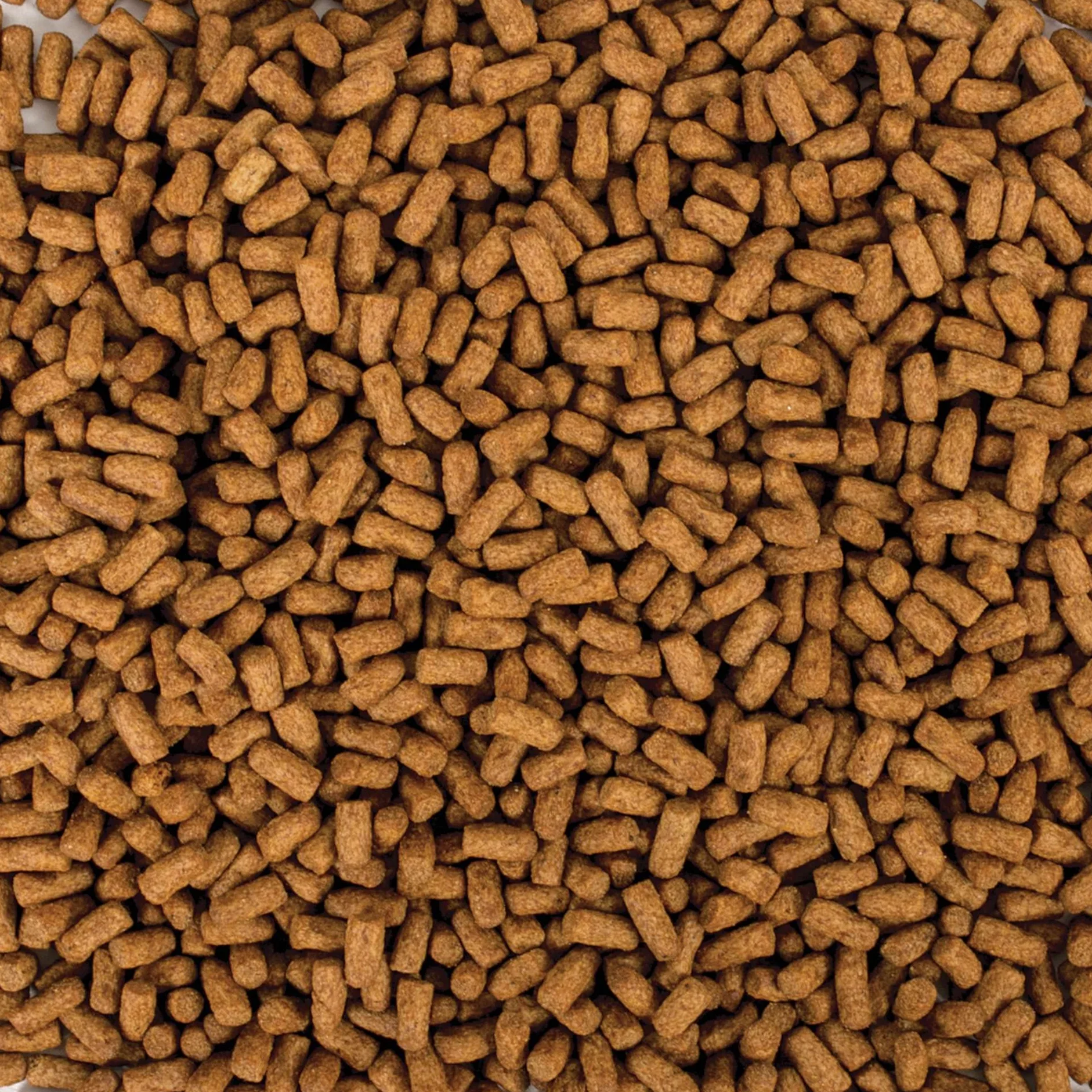 Tropical Pokarm z dodatkiem probiotyku dla młodych żółwi wodno-lądowych SUPREME YOUNG 100ml / 36g