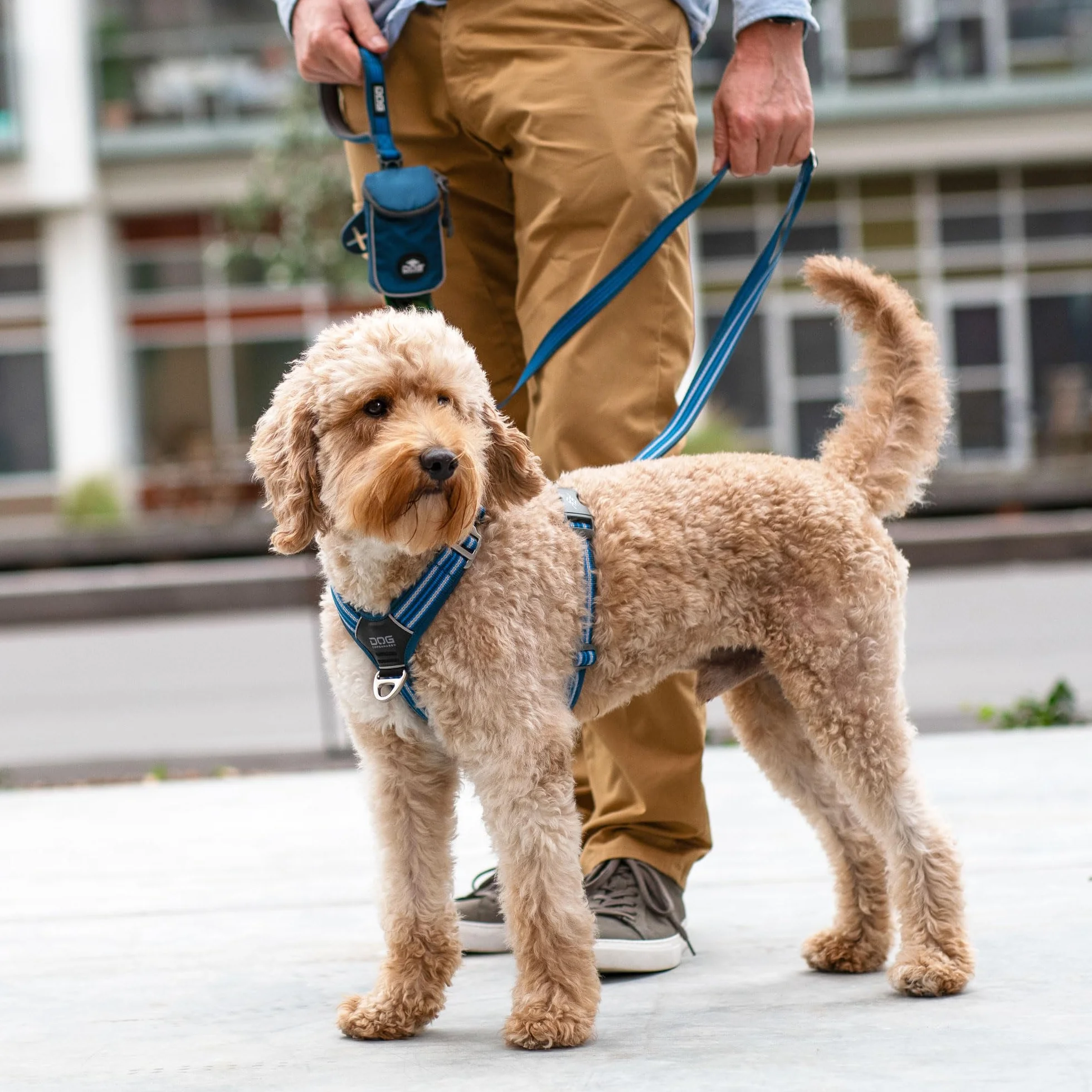 DOG Copenhagen Comfort Walk Air 3.0 Uprząż, M, pomarańczowe słońce