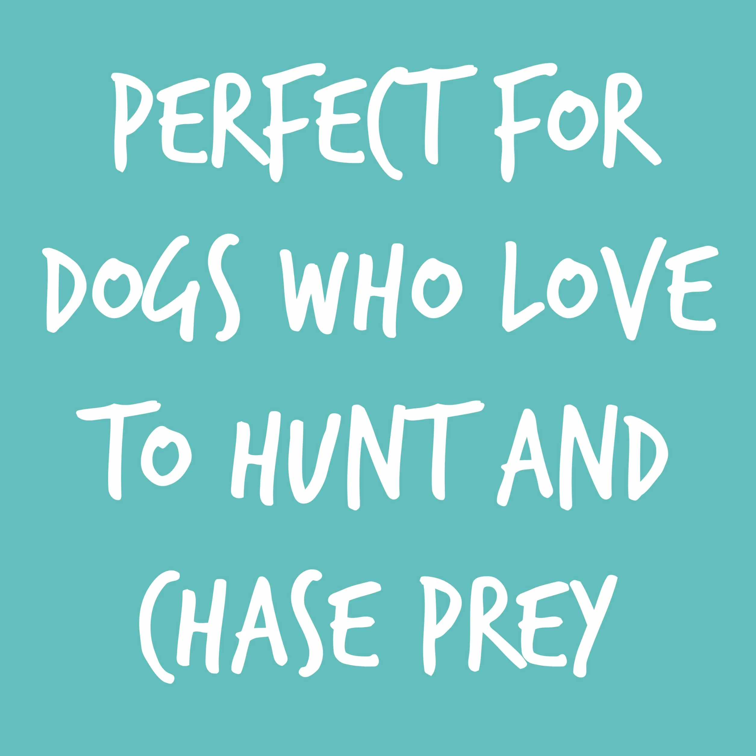 PetLove Hunt n Piszcząca drewniana kaczka pluszowa zabawka dla szczeniaka z naturalnym kauczukiem