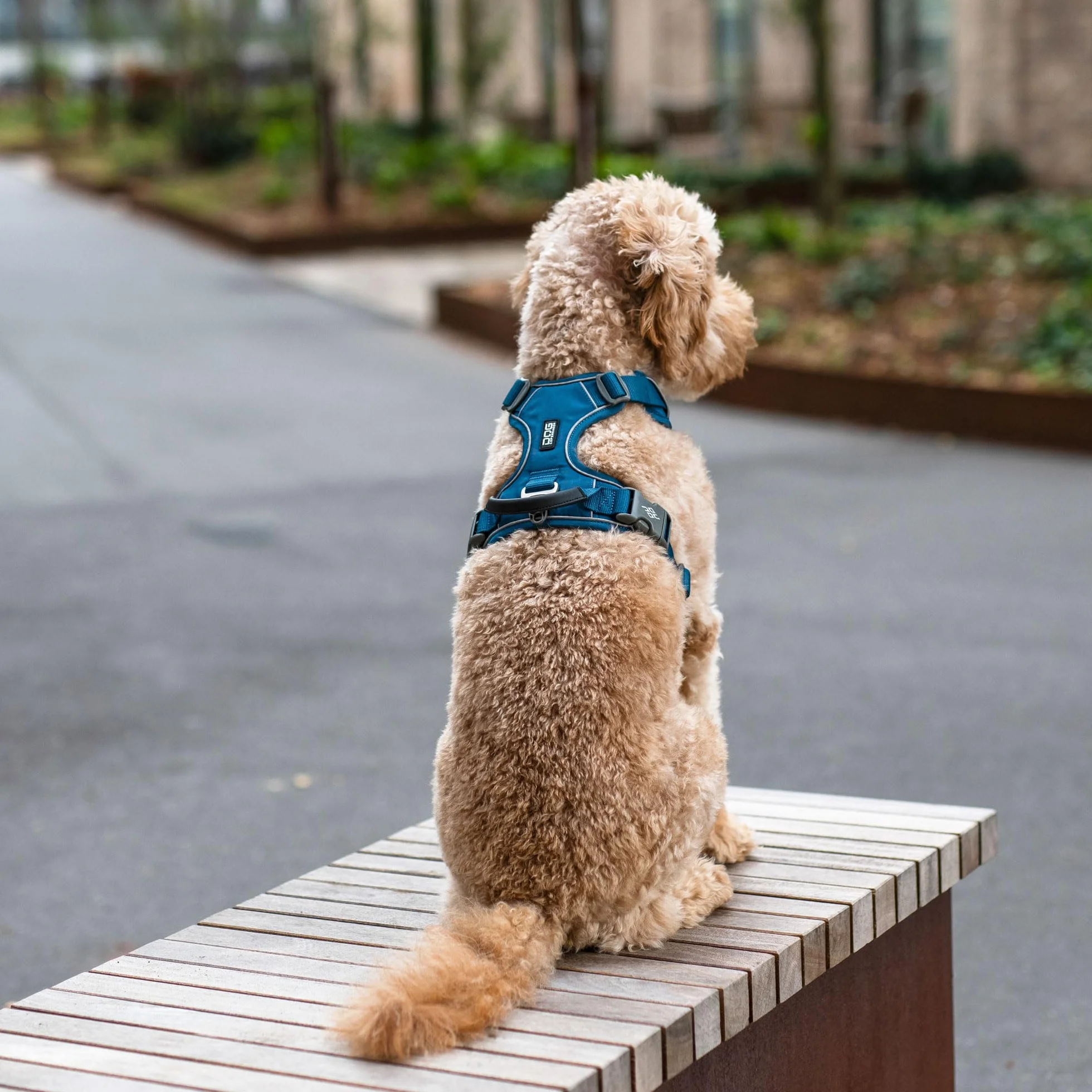 DOG Copenhagen Comfort Walk Pro 3.0 Uprząż dla psa treningowa z klipem górnym i przednim odblaskowa