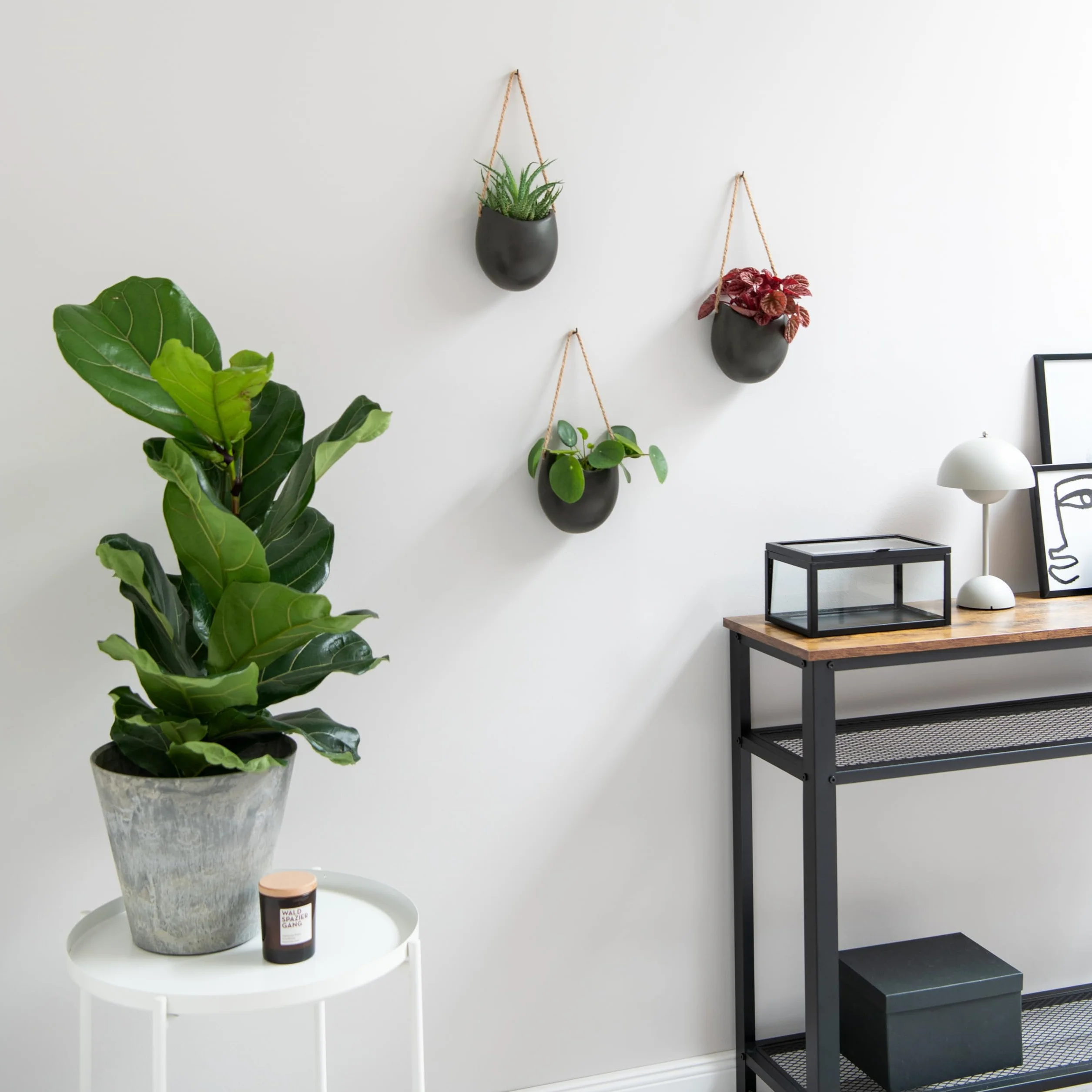 Kazai.® Donice Ścienne -Ellie- | Wiszące Ceramiczne Doniczki 3 sztuki | Dekoracja Ścienna do Wnętrz, Balkonów i Ogrodów | Grafitowy (matowy)