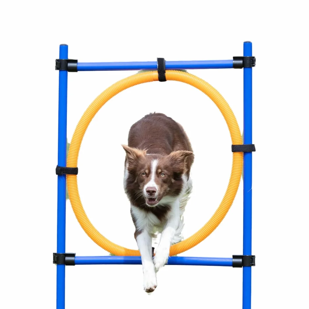 Trixie Dog Activity Pierścień Zwinność 115 x 3 cm 65 cm Pomarańczowy Niebieski