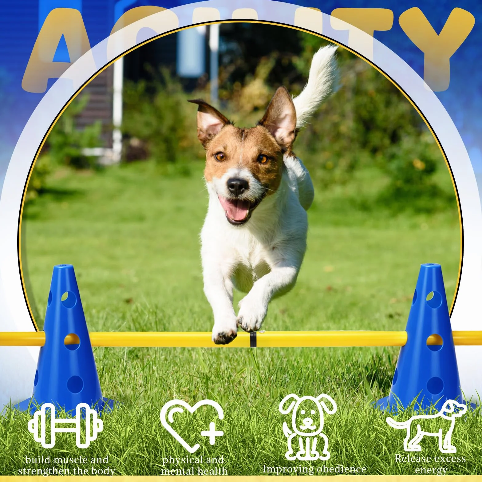 Agility zestaw płotek dla psów, zestaw przeszkód dla dzieci, do skakania, dla psa Cavaletti, 8 stożków o wysokości 23 cm + 16 drążków o długości 80 cm, do ćwiczeń treningowych