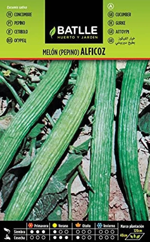 Ogórek ALFICOZ Melon Wąż