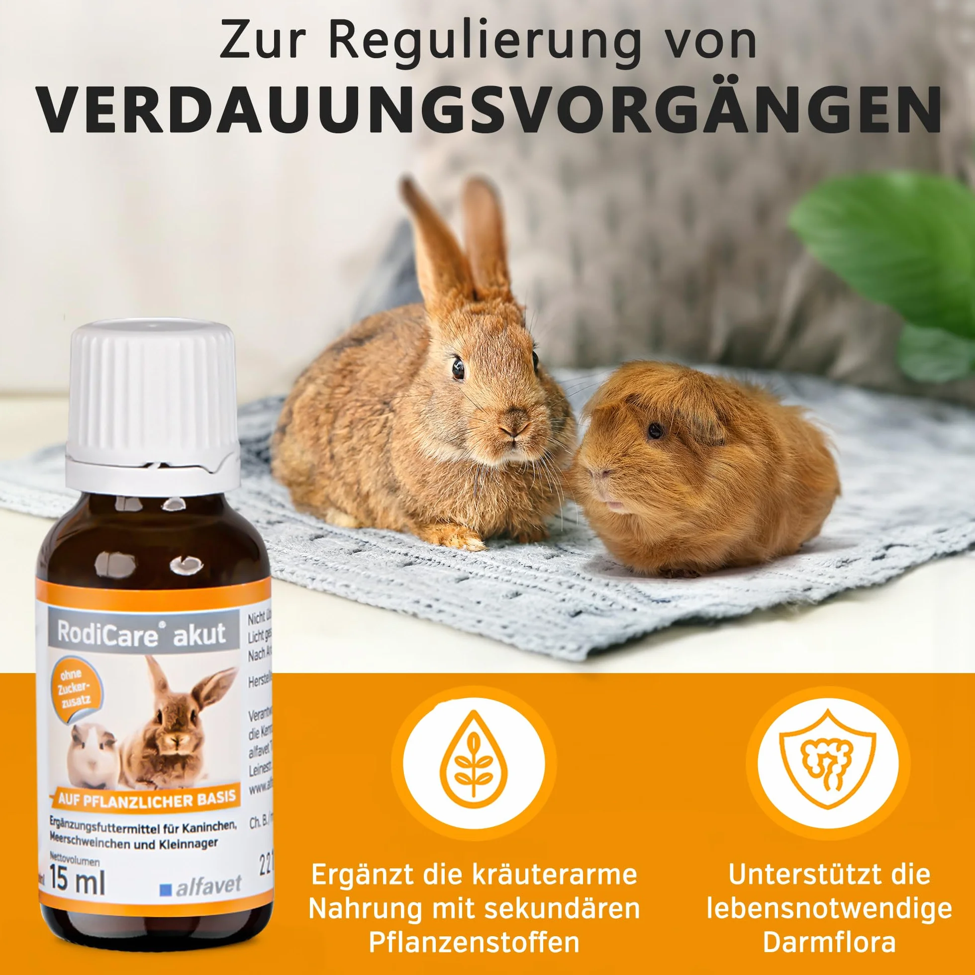 Alfavet RodiCare karma uzupełniająca do regulacji procesów trawiennych dla królików, świnek morskich i małych gryzoni, szklana butelka 15 ml ze strzykawką dozującą