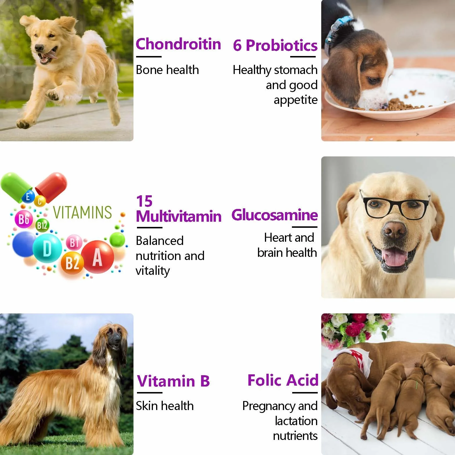 Multiwitaminowe suplementy dla psów 15 w 1 Natural Essential Multi Vitamin Tabletki do żucia z witaminami B stawów o smaku kaczki 375 g 150 gryzaków