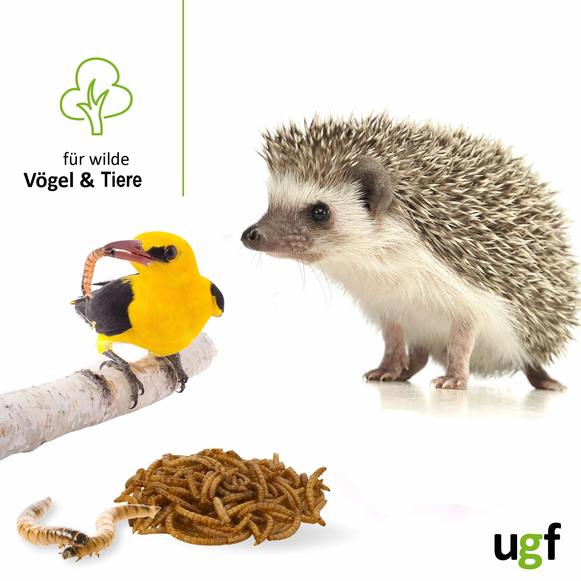 UGF - Premium suszone robaki mączne, 500 g, karma dla dzikich ptaków przez cały rok, karma dla jeży, karma dla wiewiórek, karma dla chomików