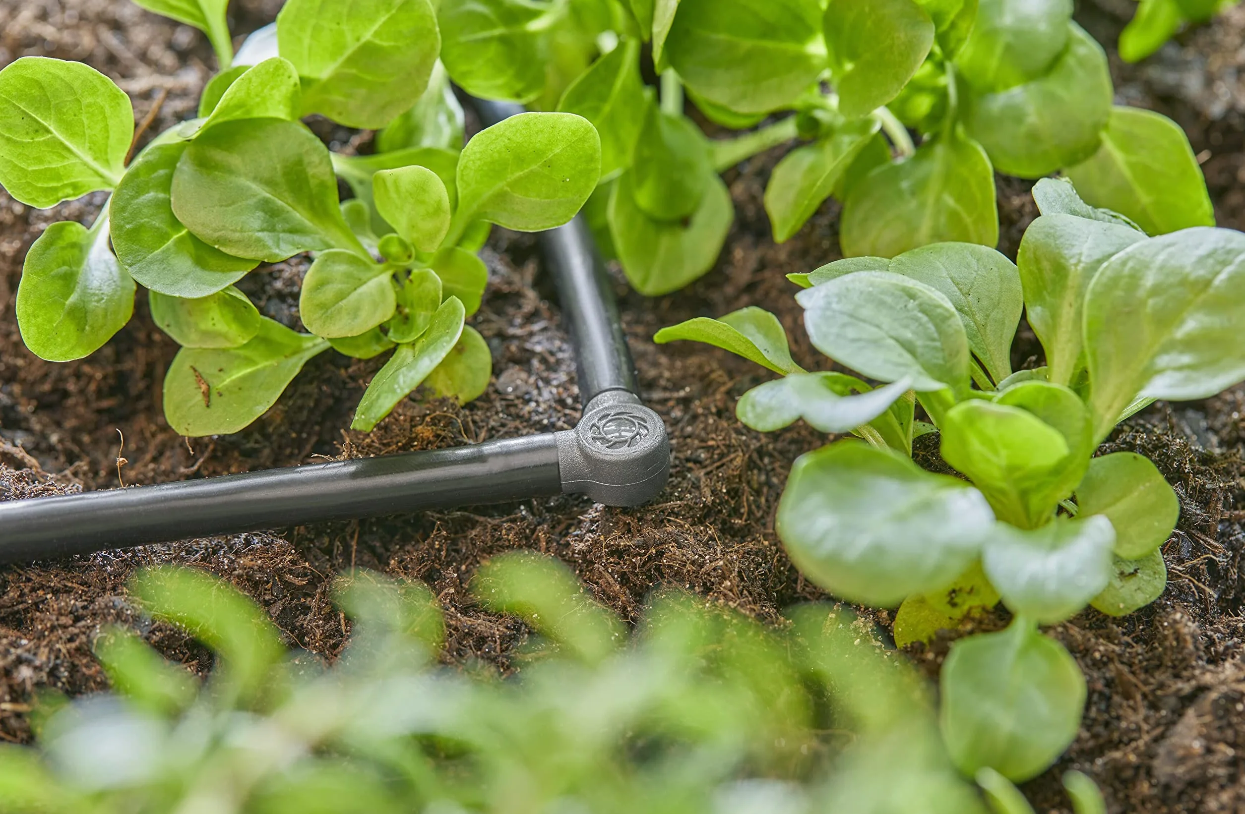 Gardena System Micro-Drip element L 4,6 mm (3/16 cala): Do zmiany kierunku o 90 stopni rur rozdzielających i kroplujących, instalacja bez zagięć, technika połączeniowa Easy & Flexible (13212-20)