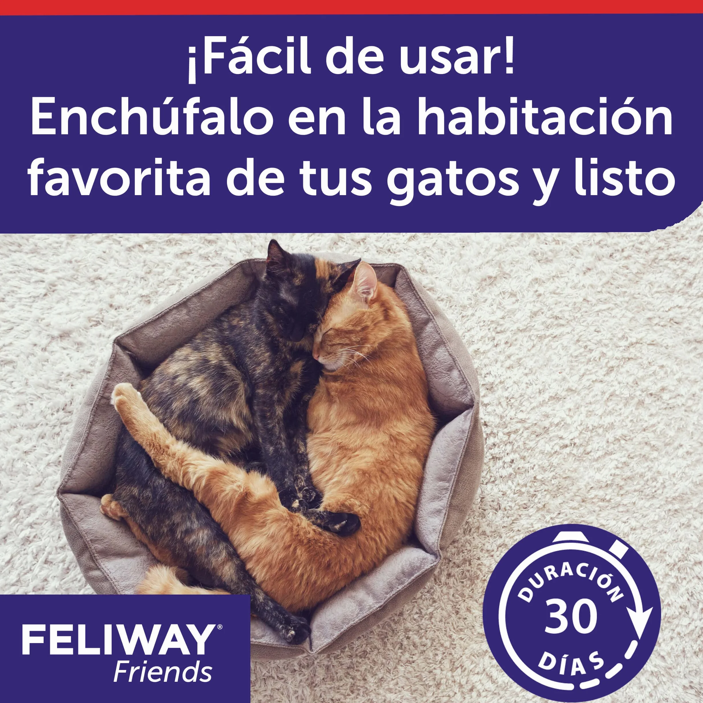 CEVA - Refill Feliway Friends