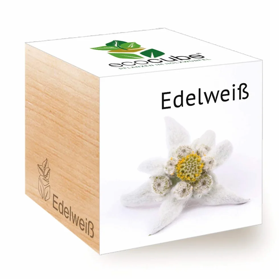 Feel Green Ecocube szarotka szarotka, zrównoważony pomysł na prezent (100% ekologiczna Friendly), zestaw do uprawy, rośliny w drewnianej kostce, Made in Austria
