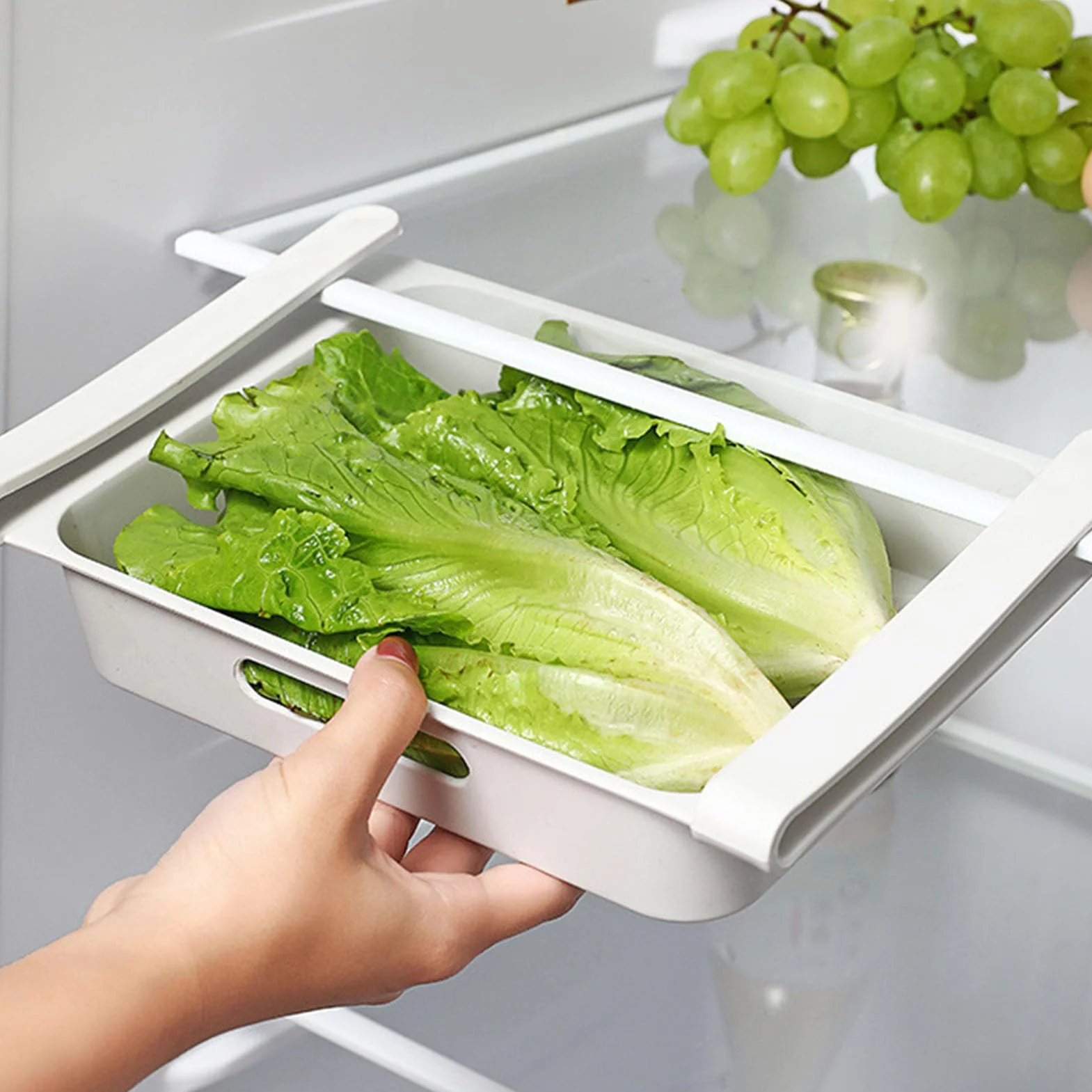 Jeffergarden Organizer na Jajka, Plastikowy Pojemnik na lodówkę z 12 Siatkami do Przechowywania żywności, Wydajna Organizacja Lodówki i Zachowanie świeżości do Użytku w Kuchni