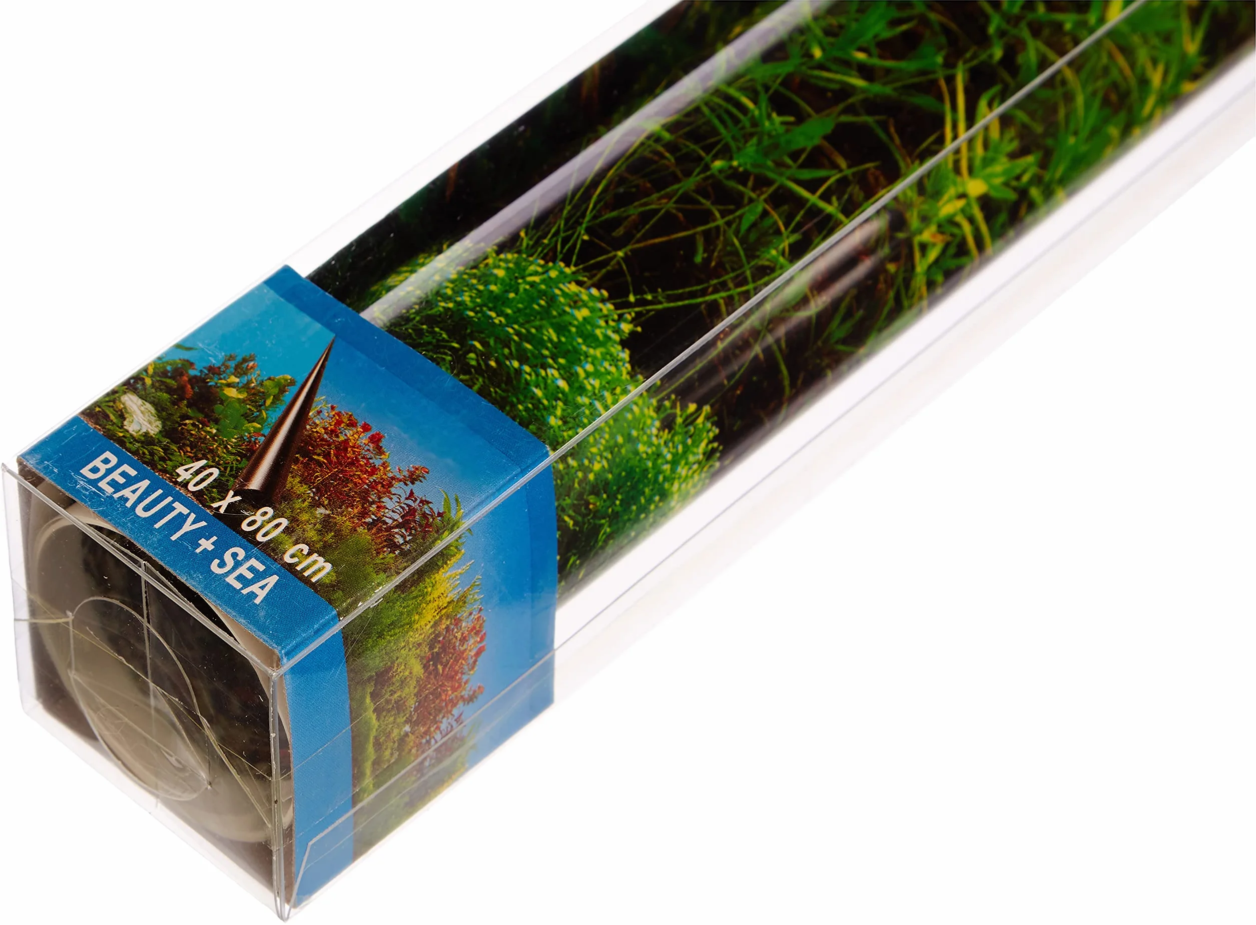 Bernina fototapeta 80 x 40 cm motyw piękna i morza