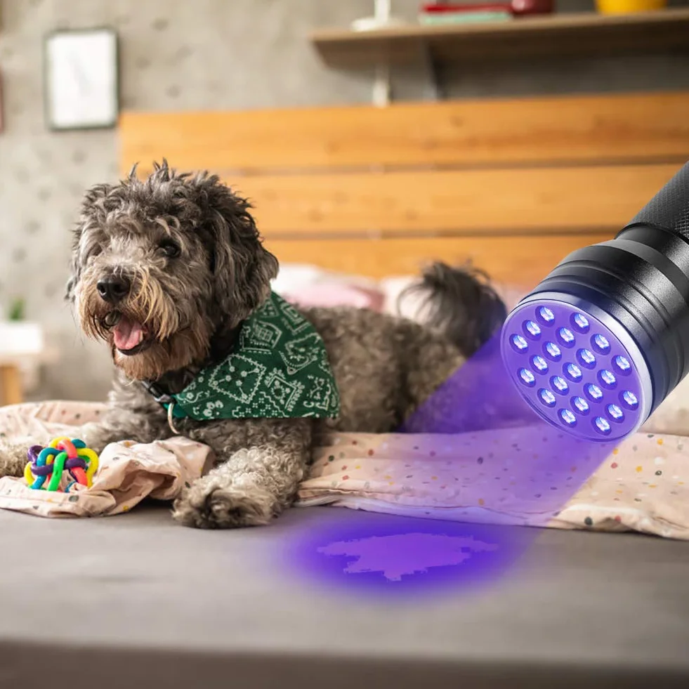 Latarka UV Ultraviolet Flashlight 21 LED Blacklight Lamp, Portable for Pet Mocz Detection, Stain Finder on Clothes, Carpet, Rugs, Floor